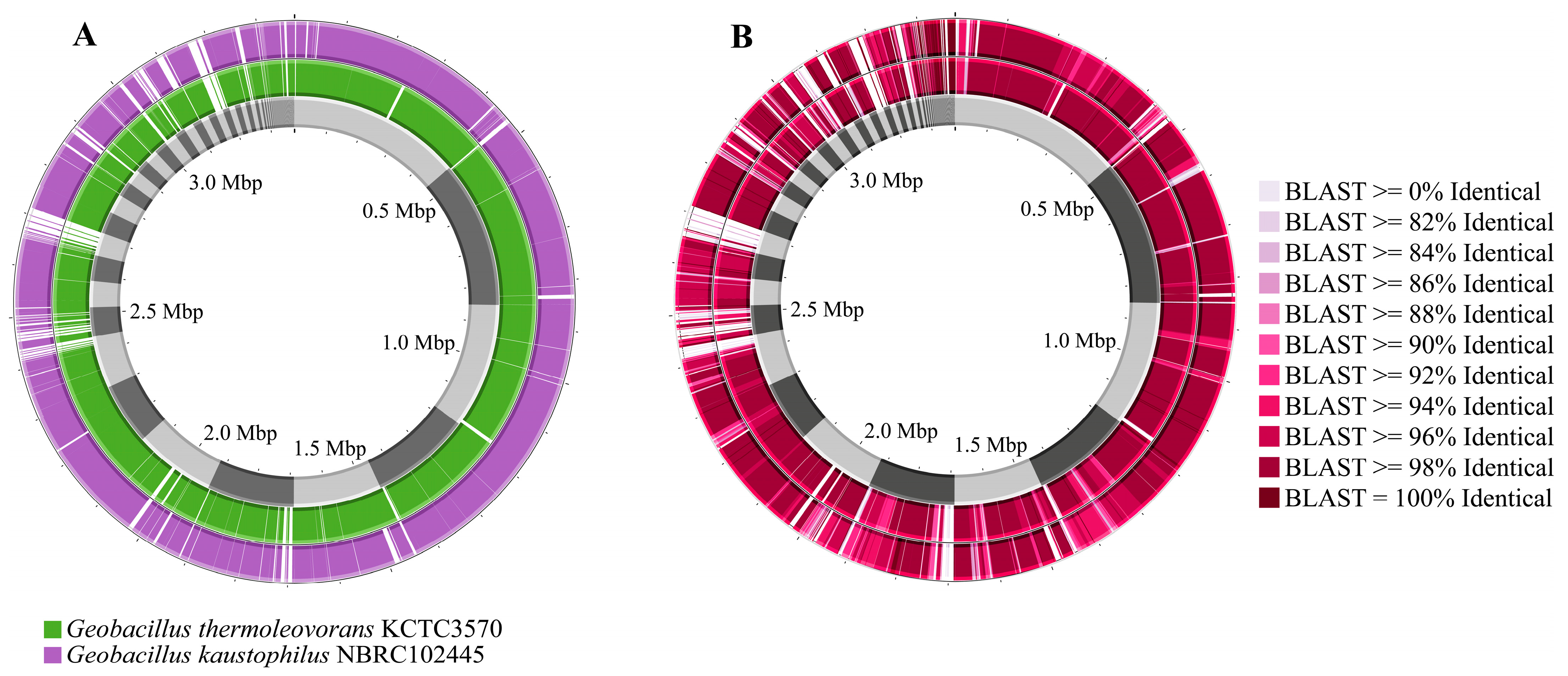 Microorganisms 13 01374 g005