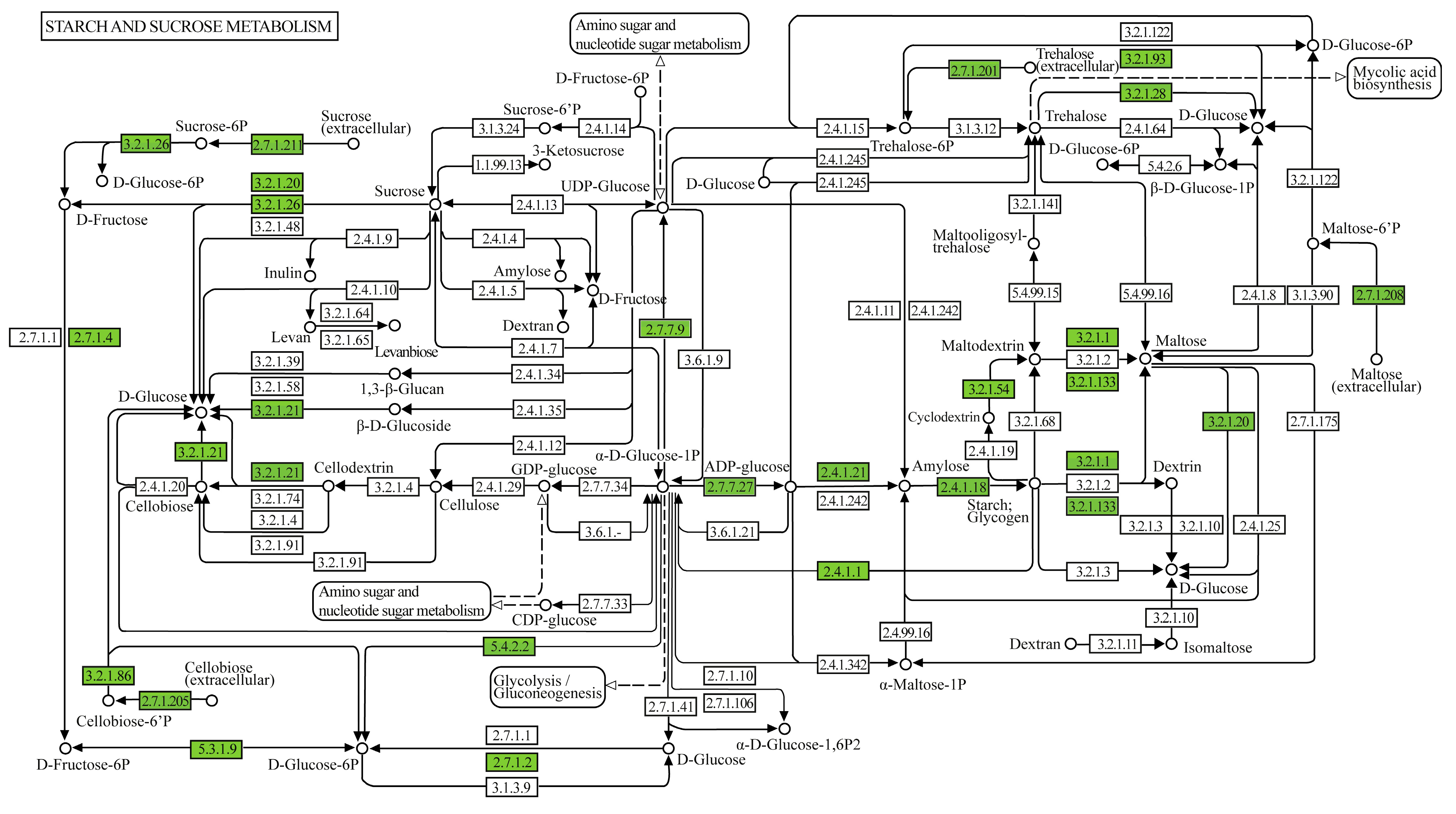Microorganisms 13 01374 g008