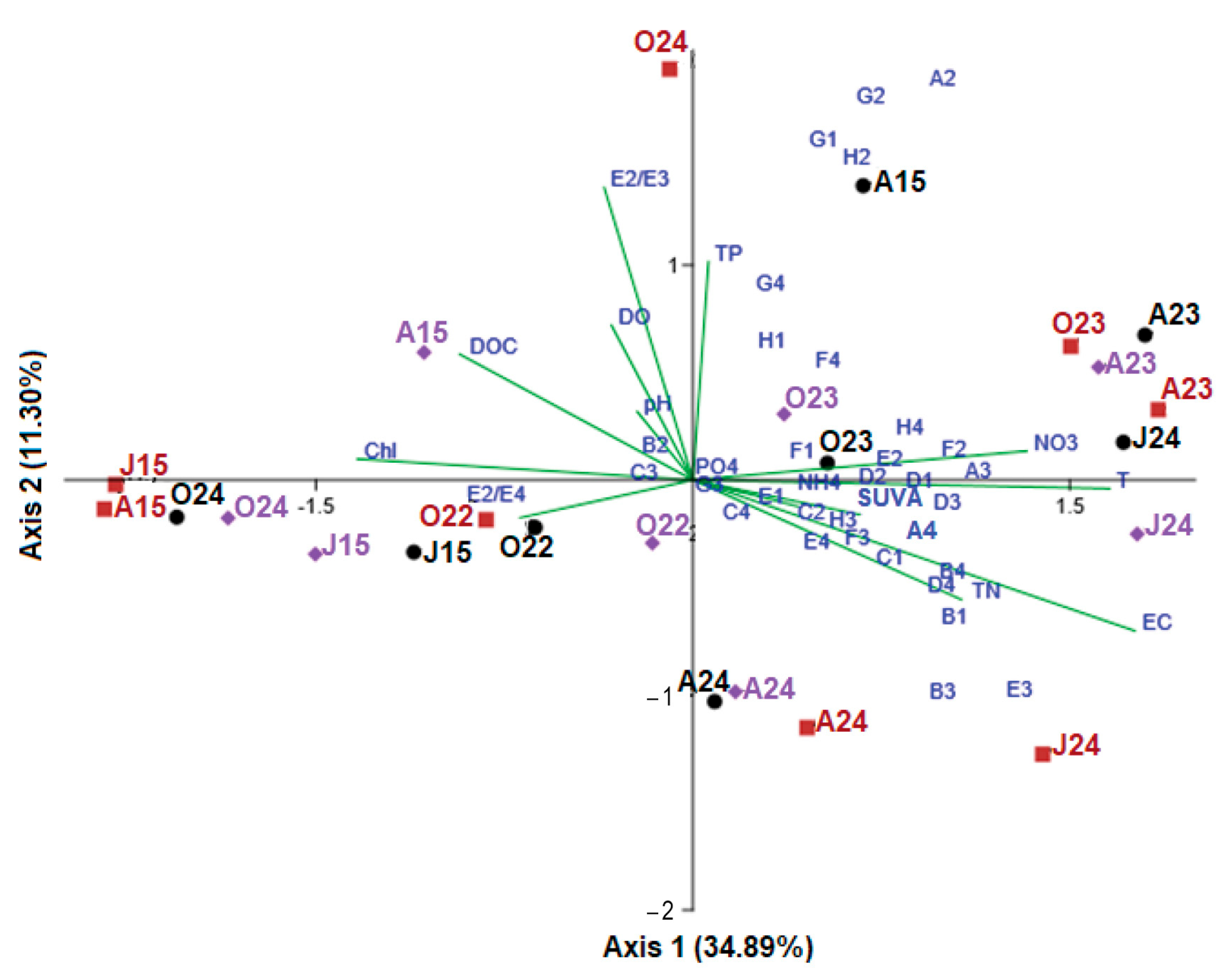 Microorganisms 13 01375 g006