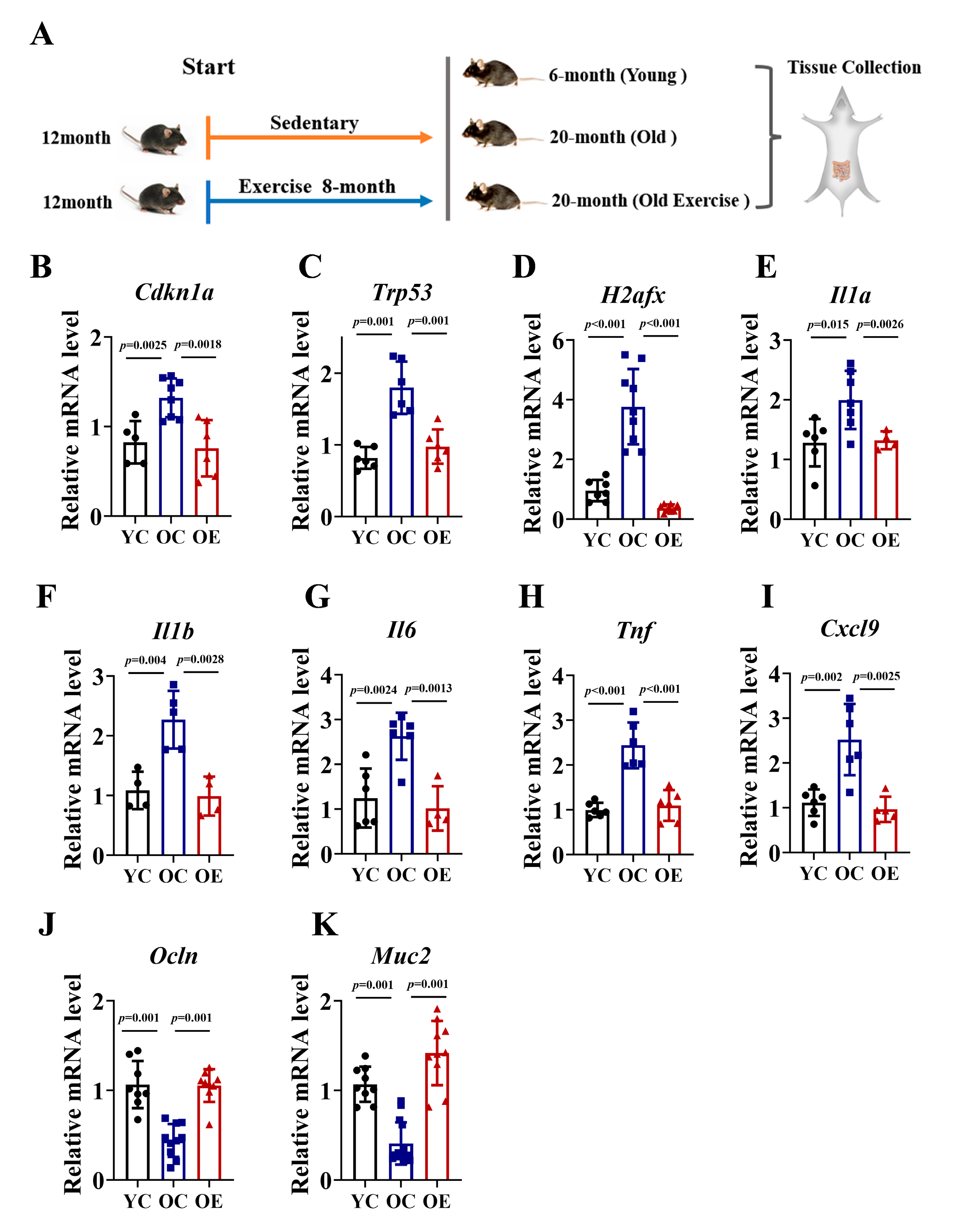 Microorganisms 13 01379 g001