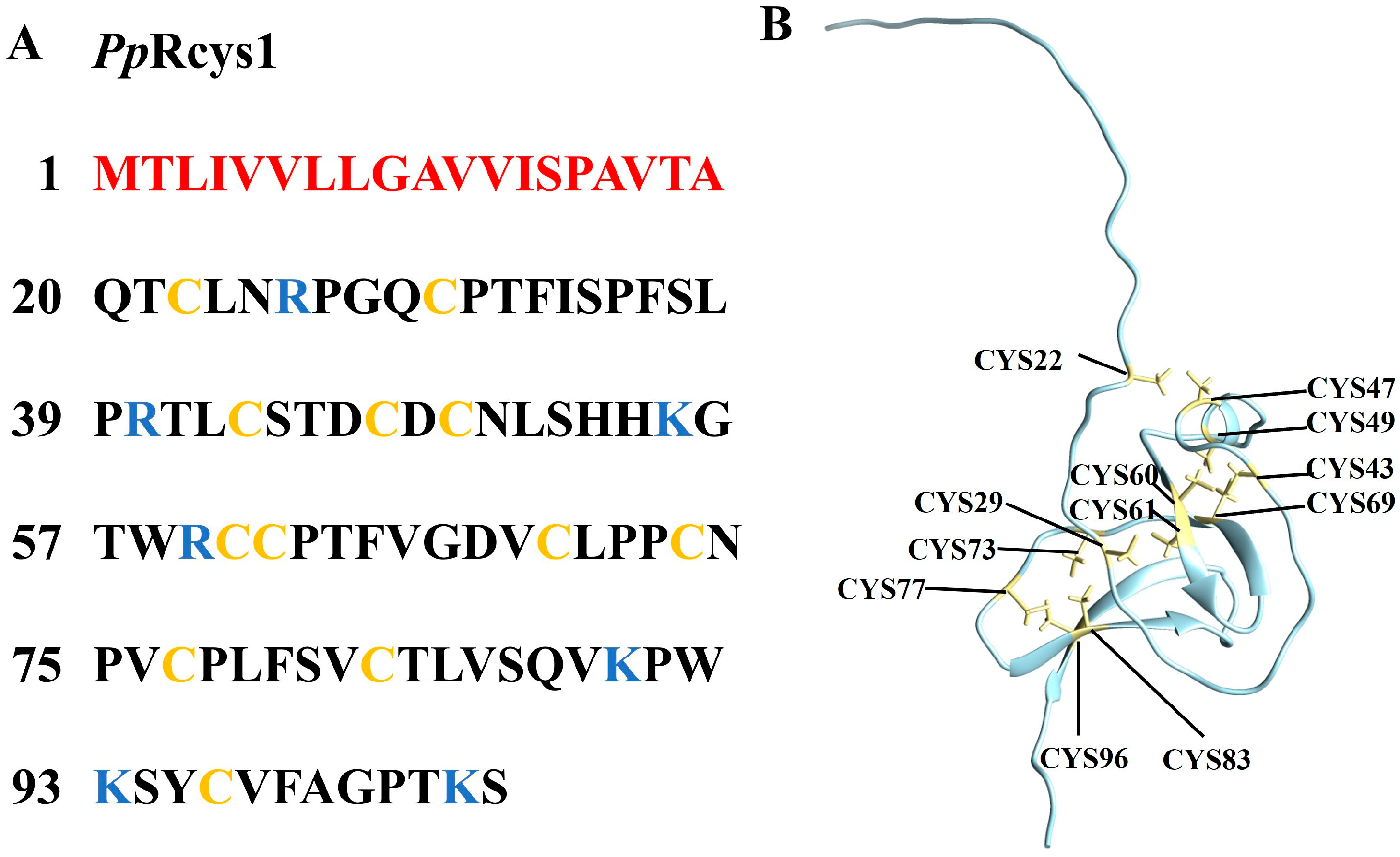 Microorganisms 13 01381 g001
