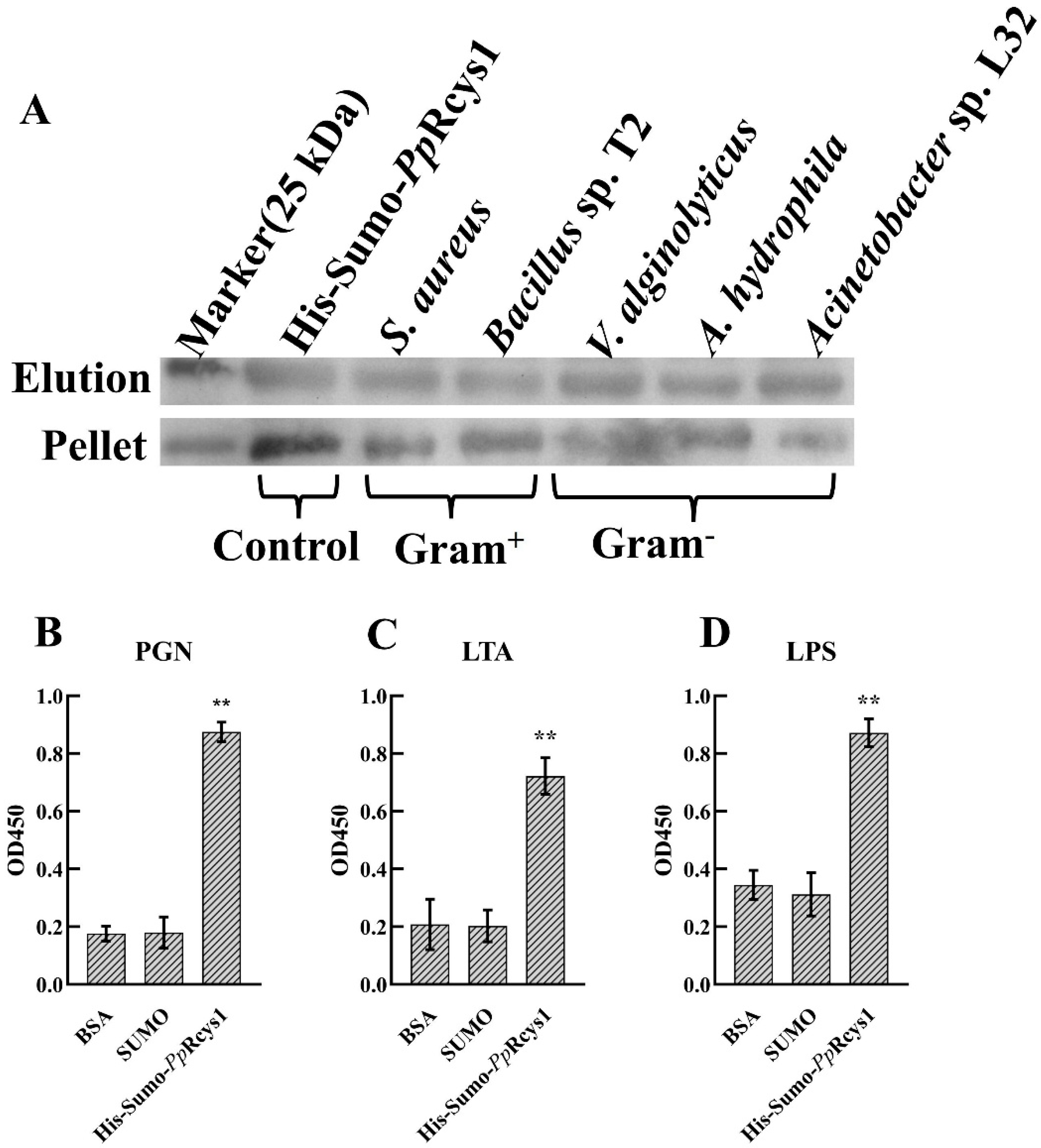 Microorganisms 13 01381 g004