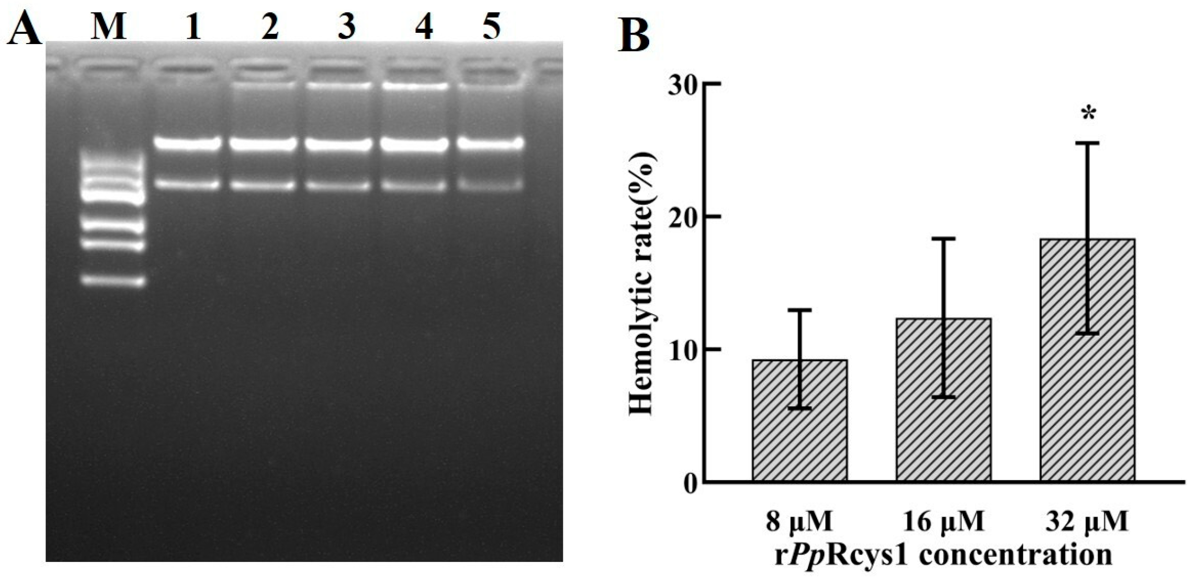 Microorganisms 13 01381 g008