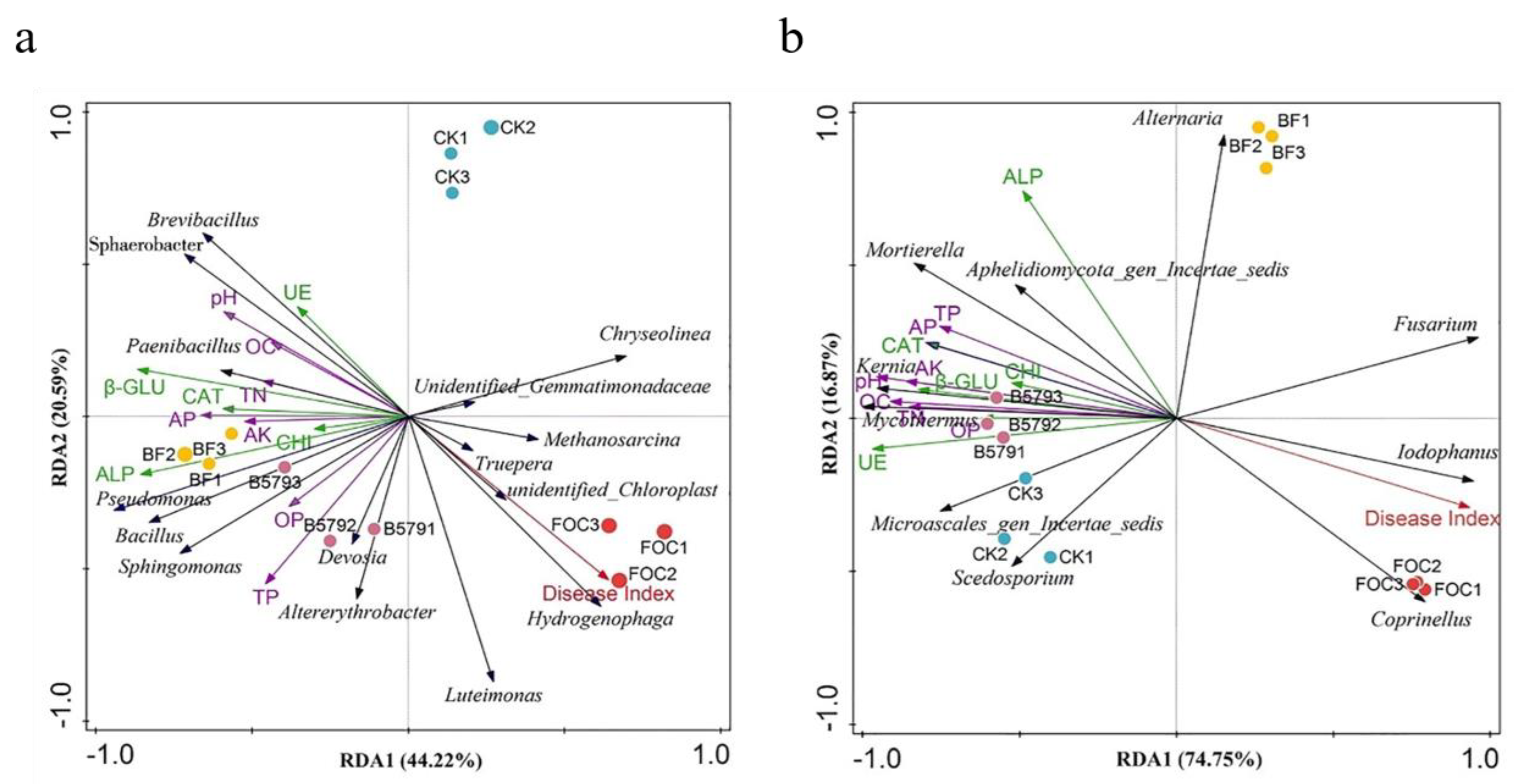 Microorganisms 13 01382 g009