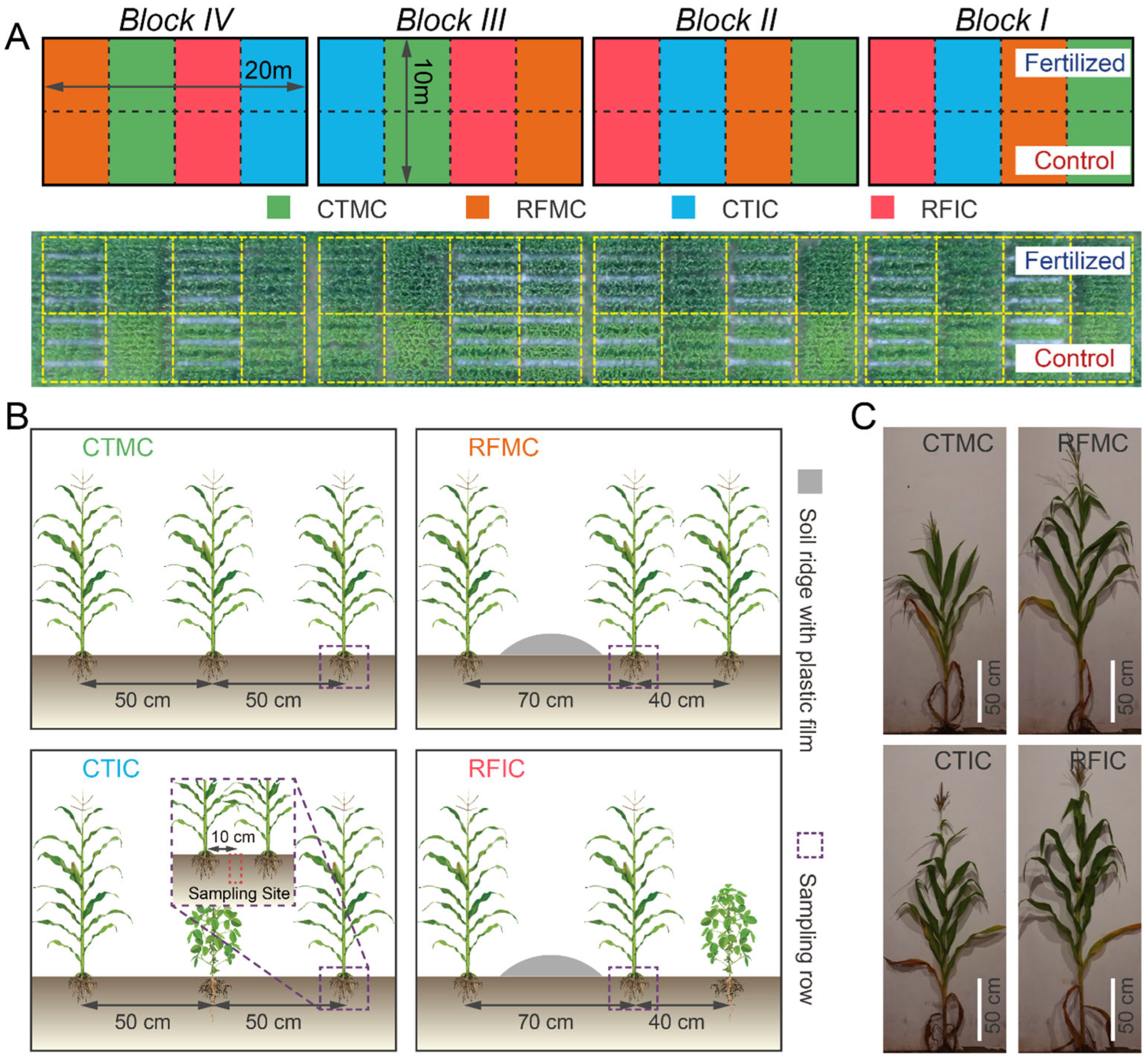 Microorganisms 13 01384 g001