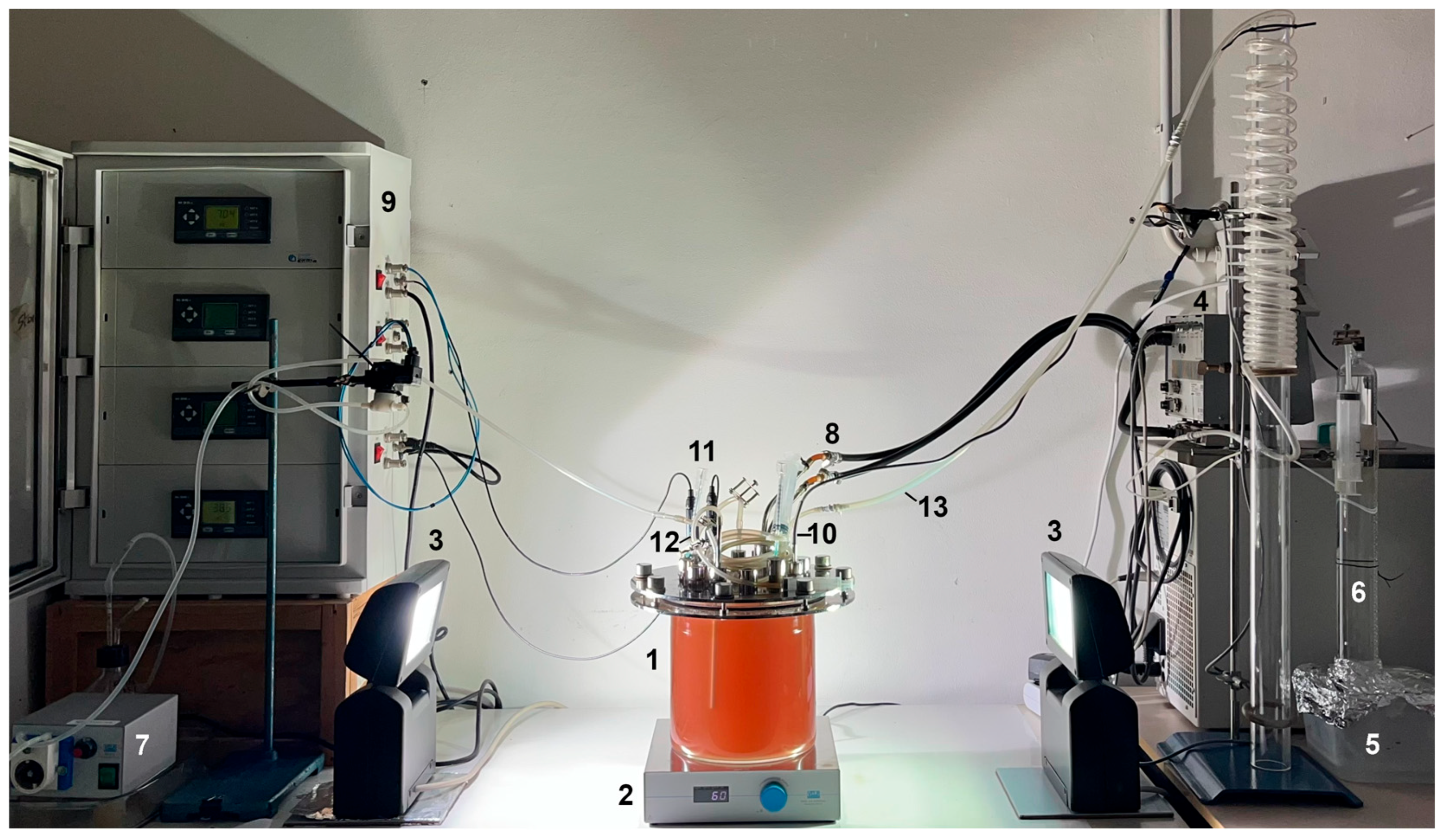 Microorganisms 13 01386 g003