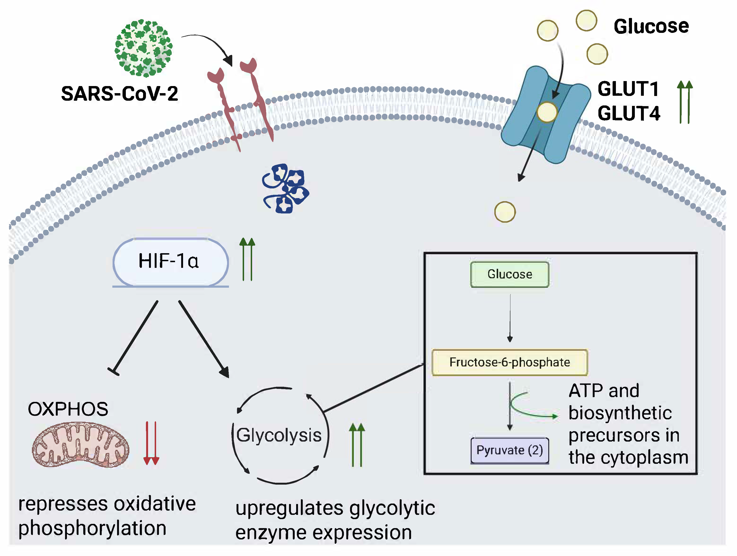 Microorganisms 13 01390 g001
