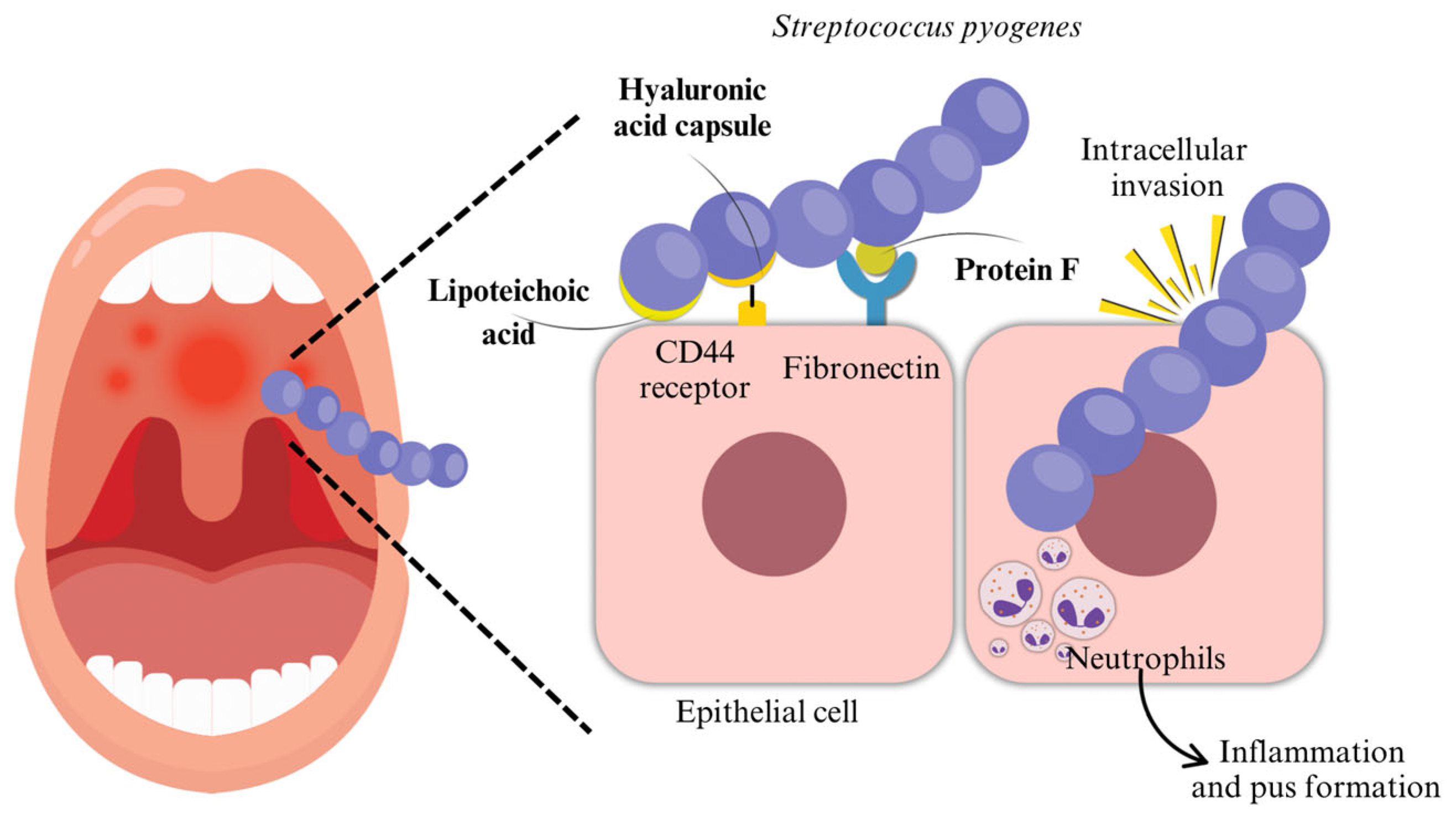 Microorganisms 13 01398 g001