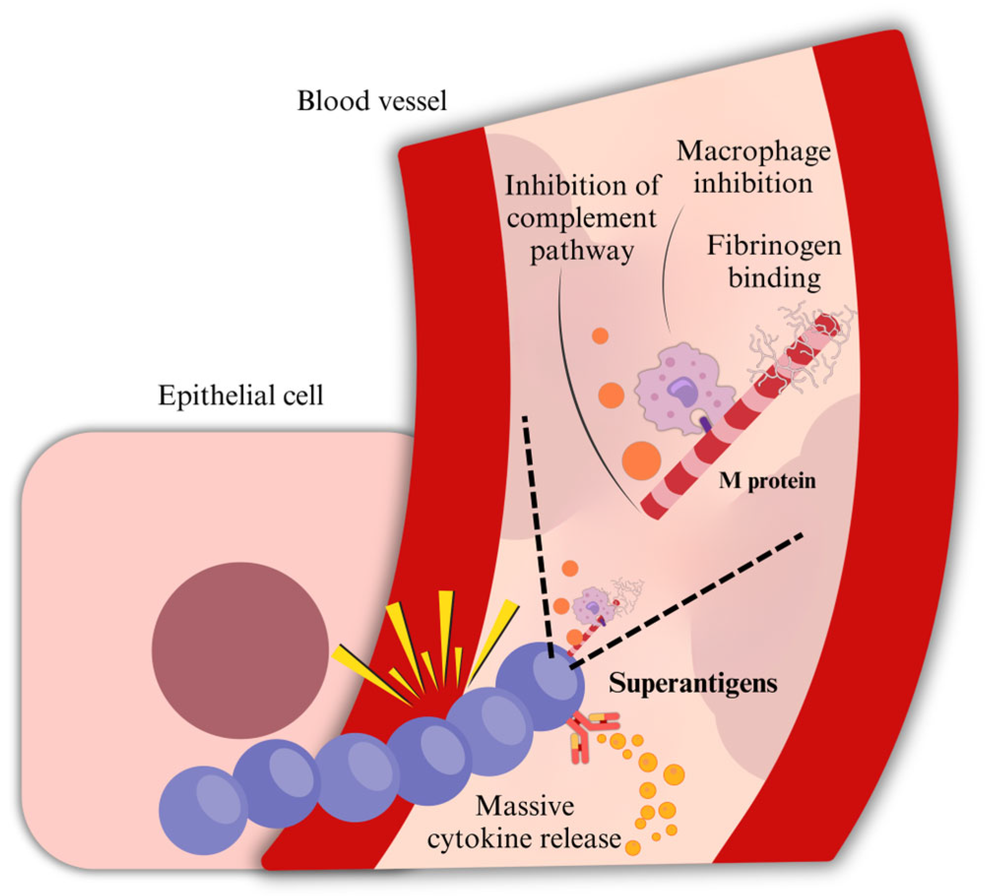 Microorganisms 13 01398 g002