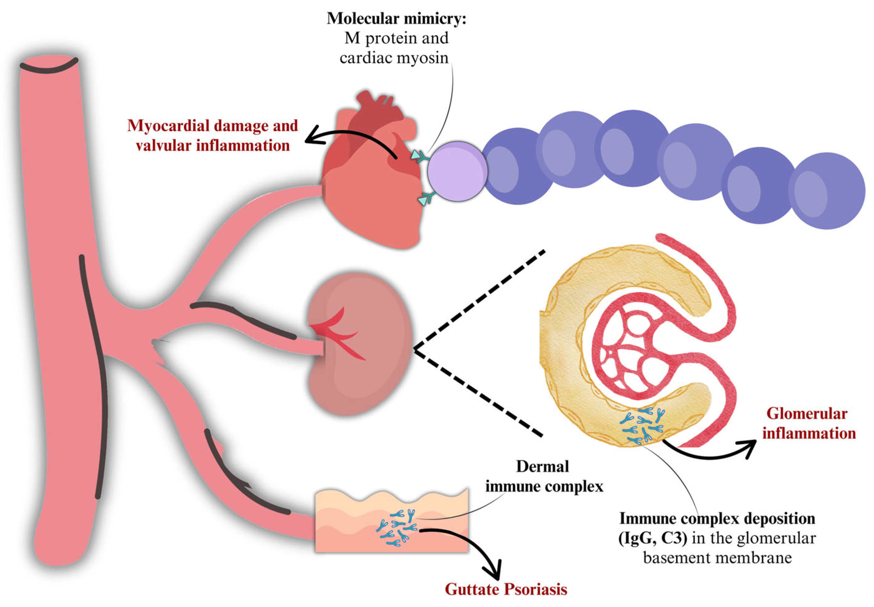 Microorganisms 13 01398 g003