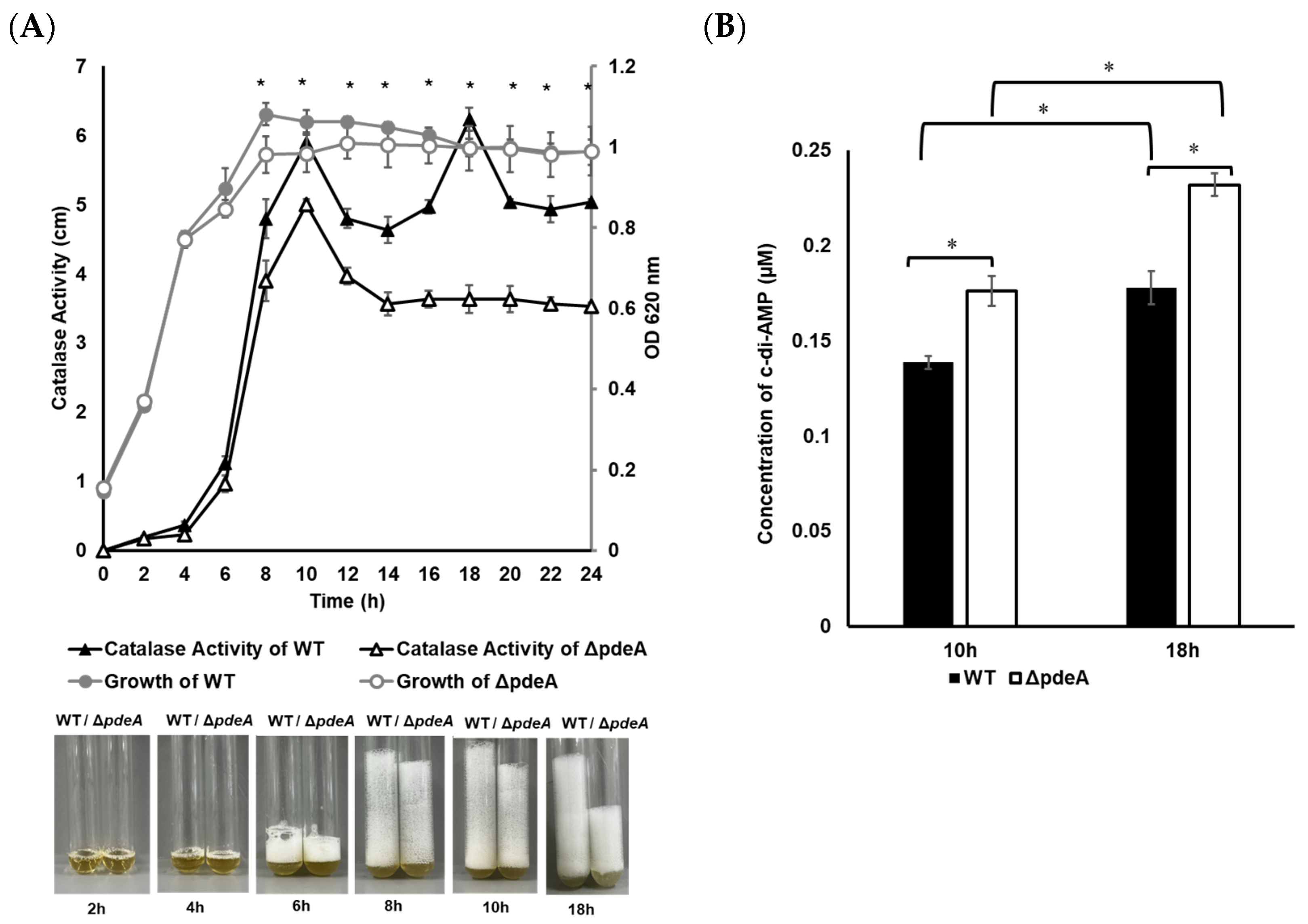 Microorganisms 13 01400 g001