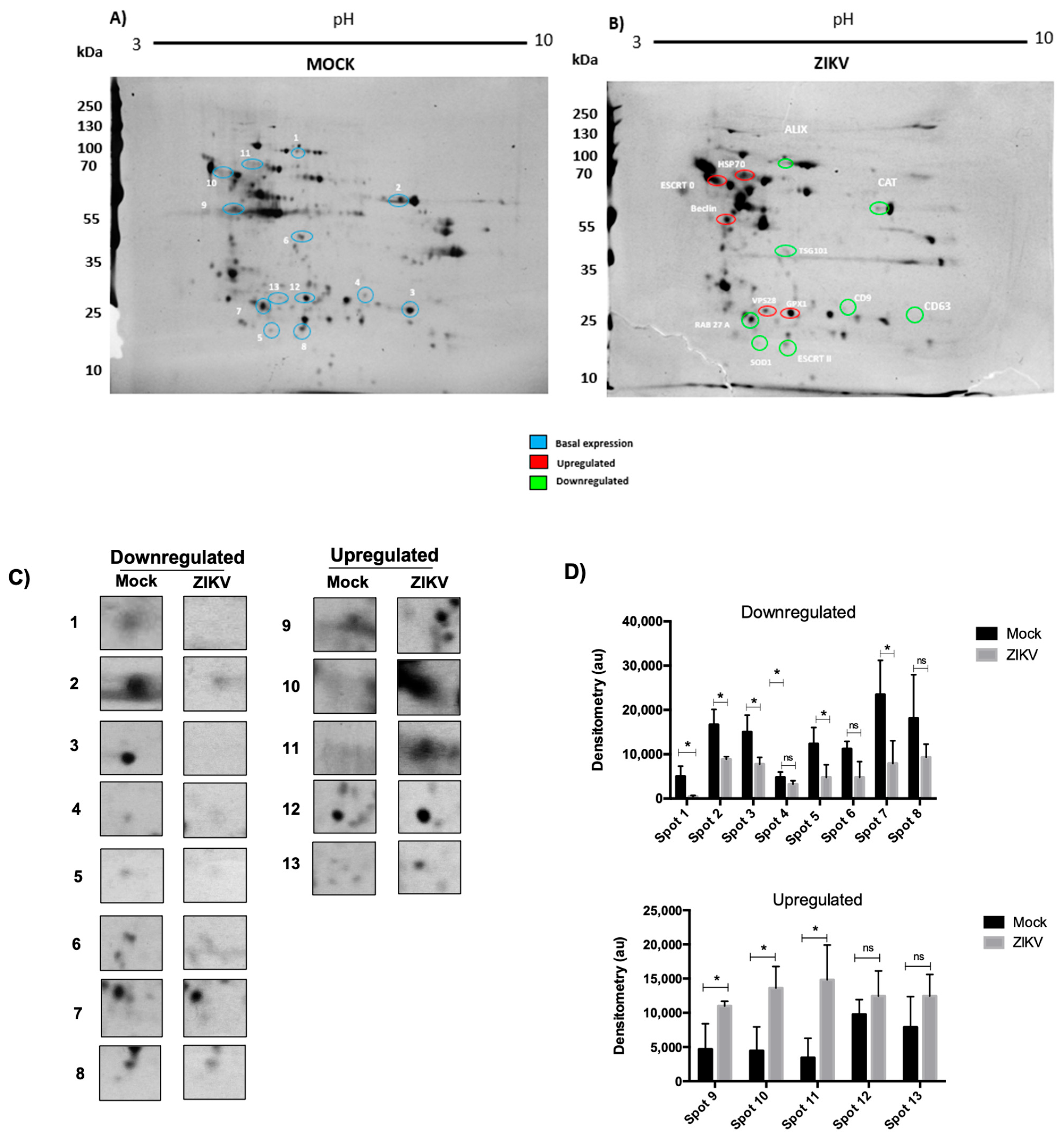Microorganisms 13 01402 g002