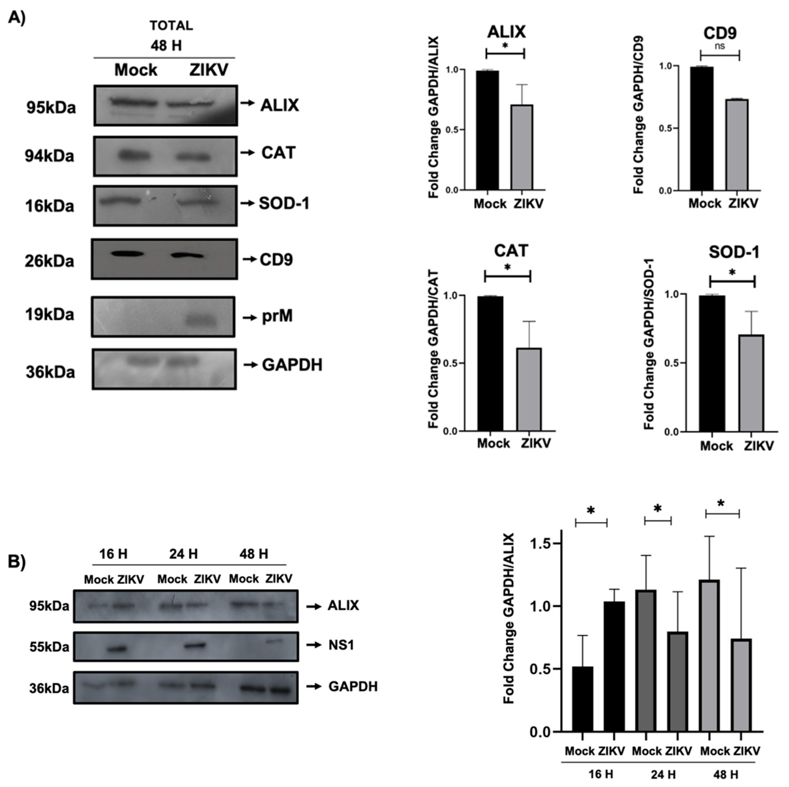 Microorganisms 13 01402 g004