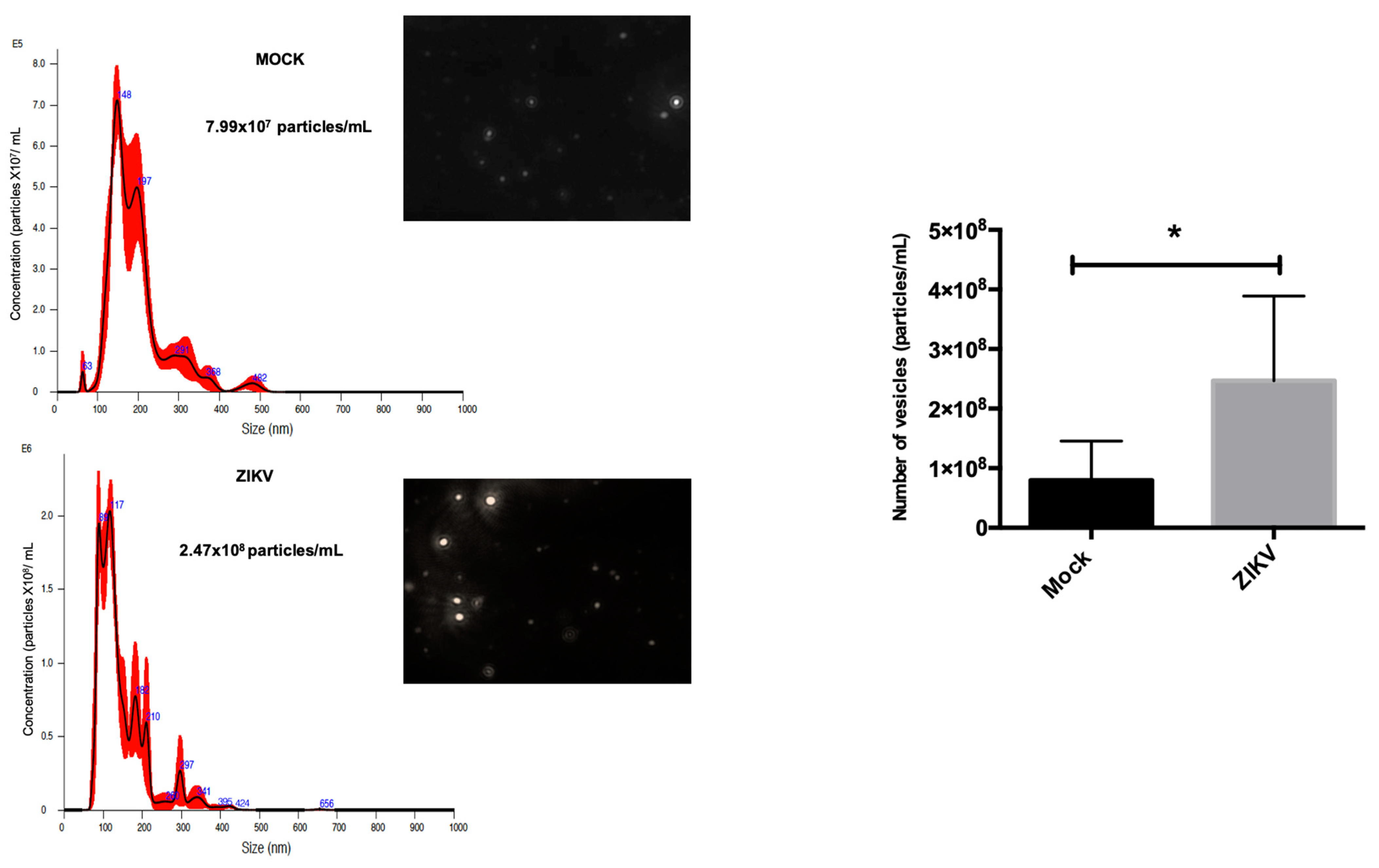 Microorganisms 13 01402 g007