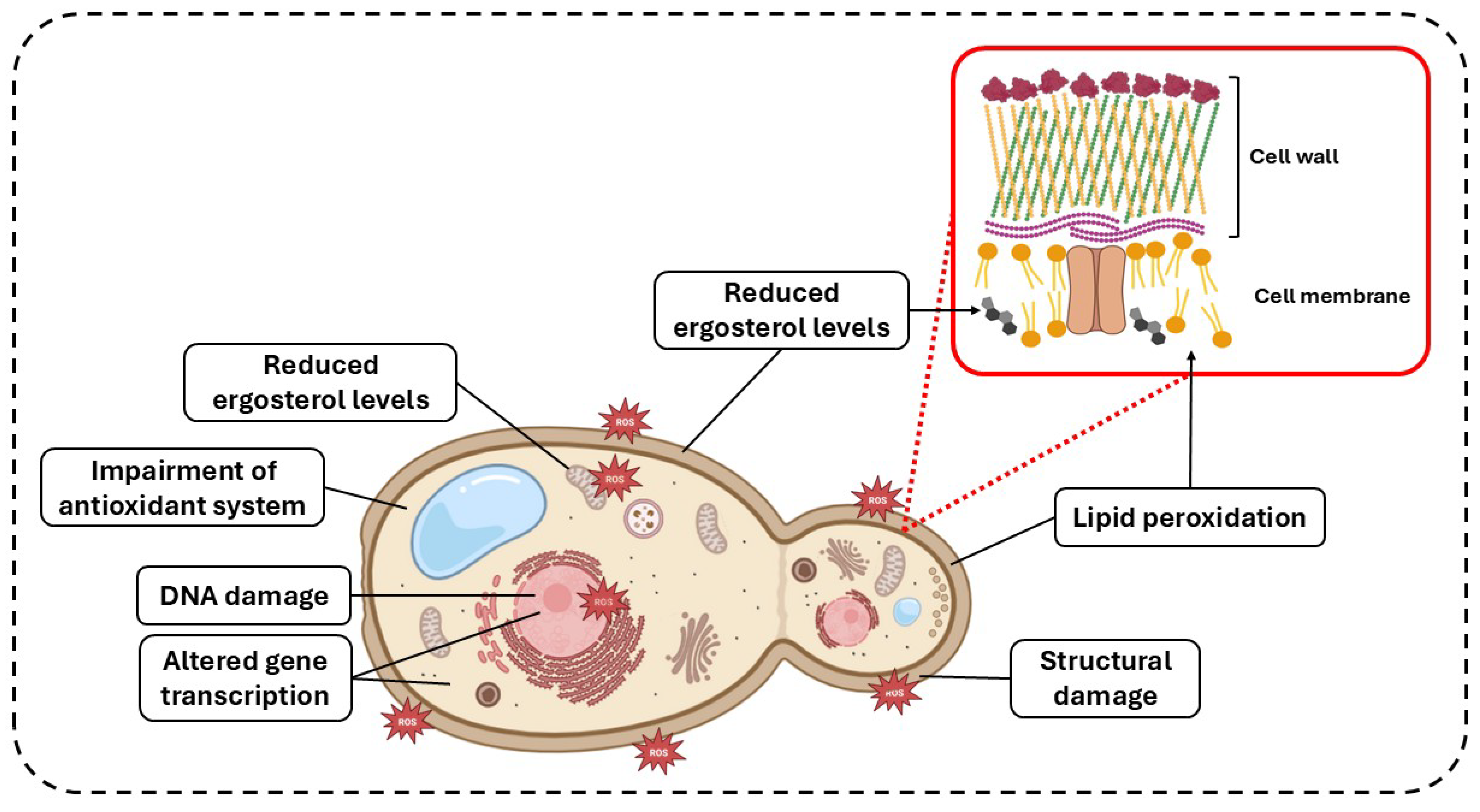 Microorganisms 13 01406 g002