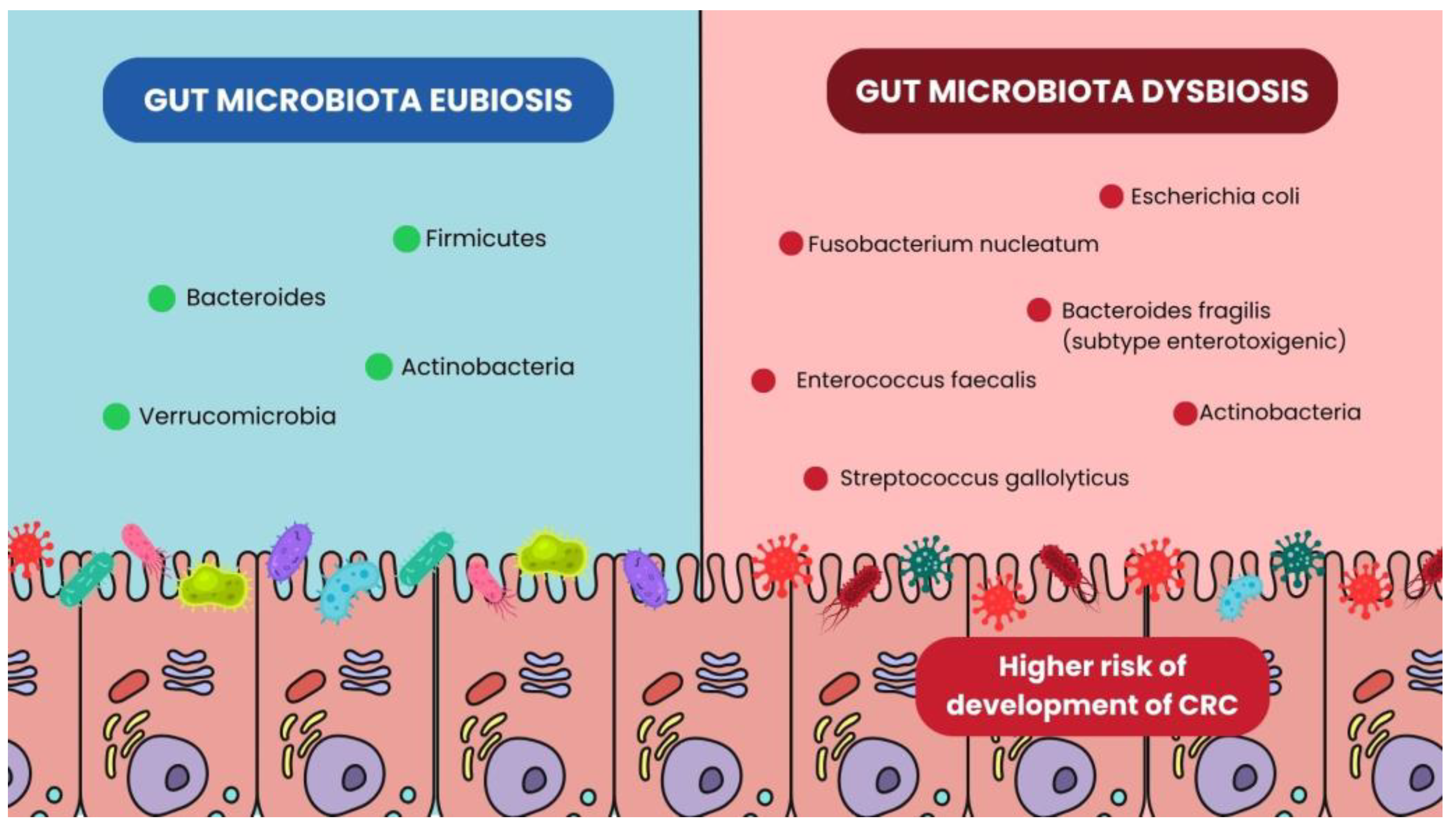 Microorganisms 13 01410 g001