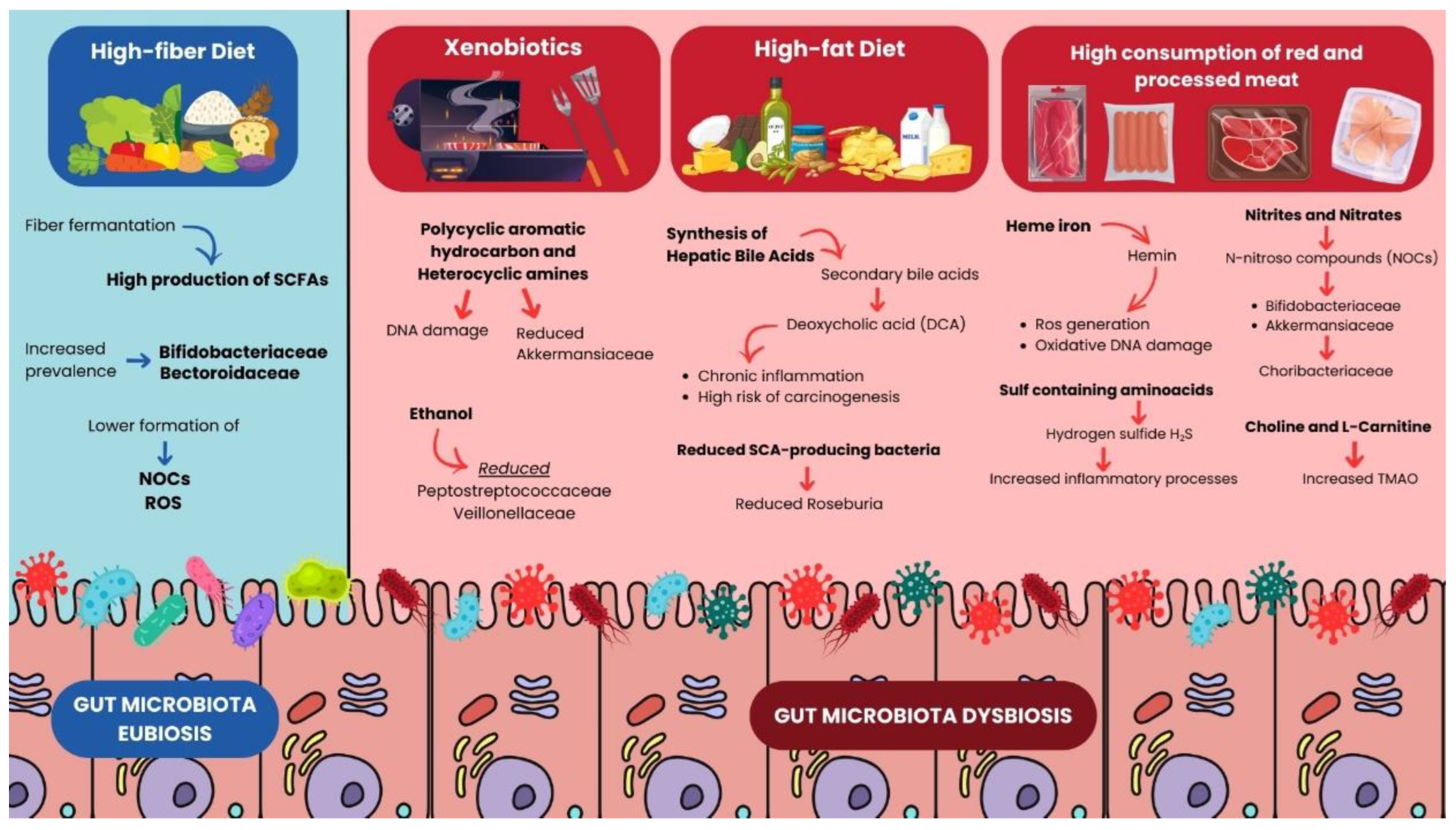 Microorganisms 13 01410 g002