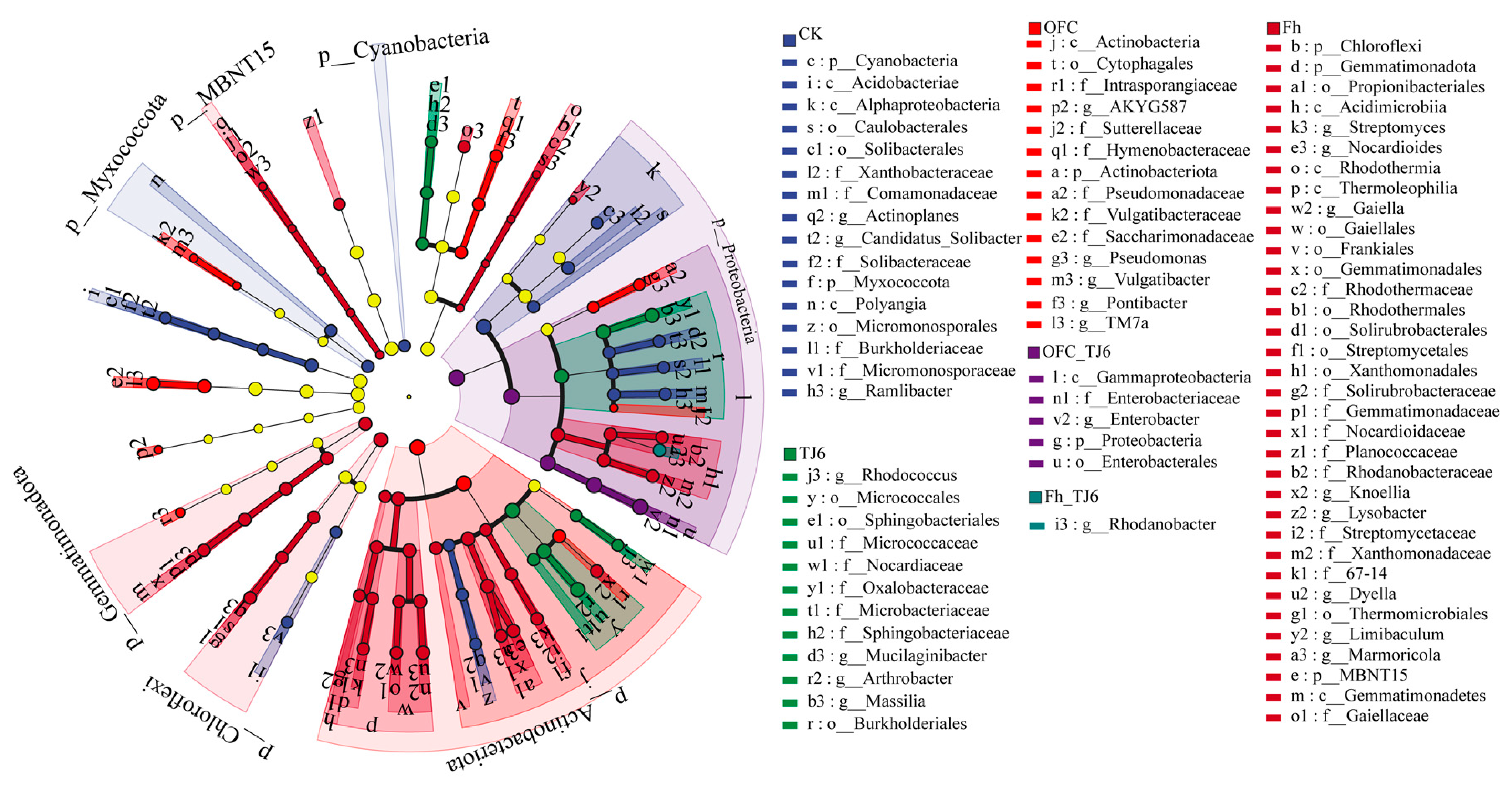 Microorganisms 13 01412 g007