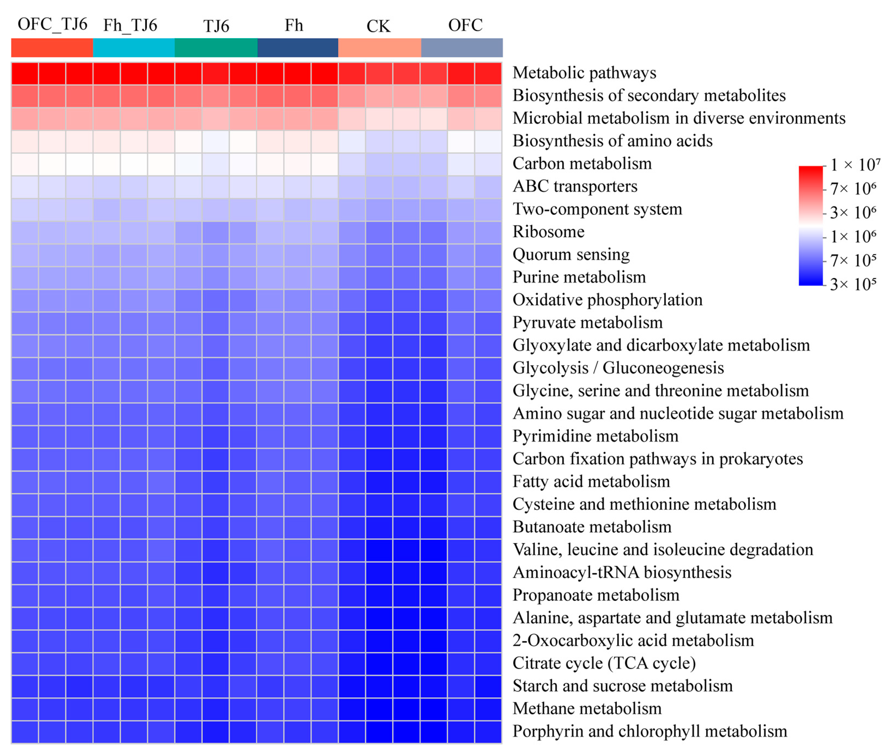 Microorganisms 13 01412 g008