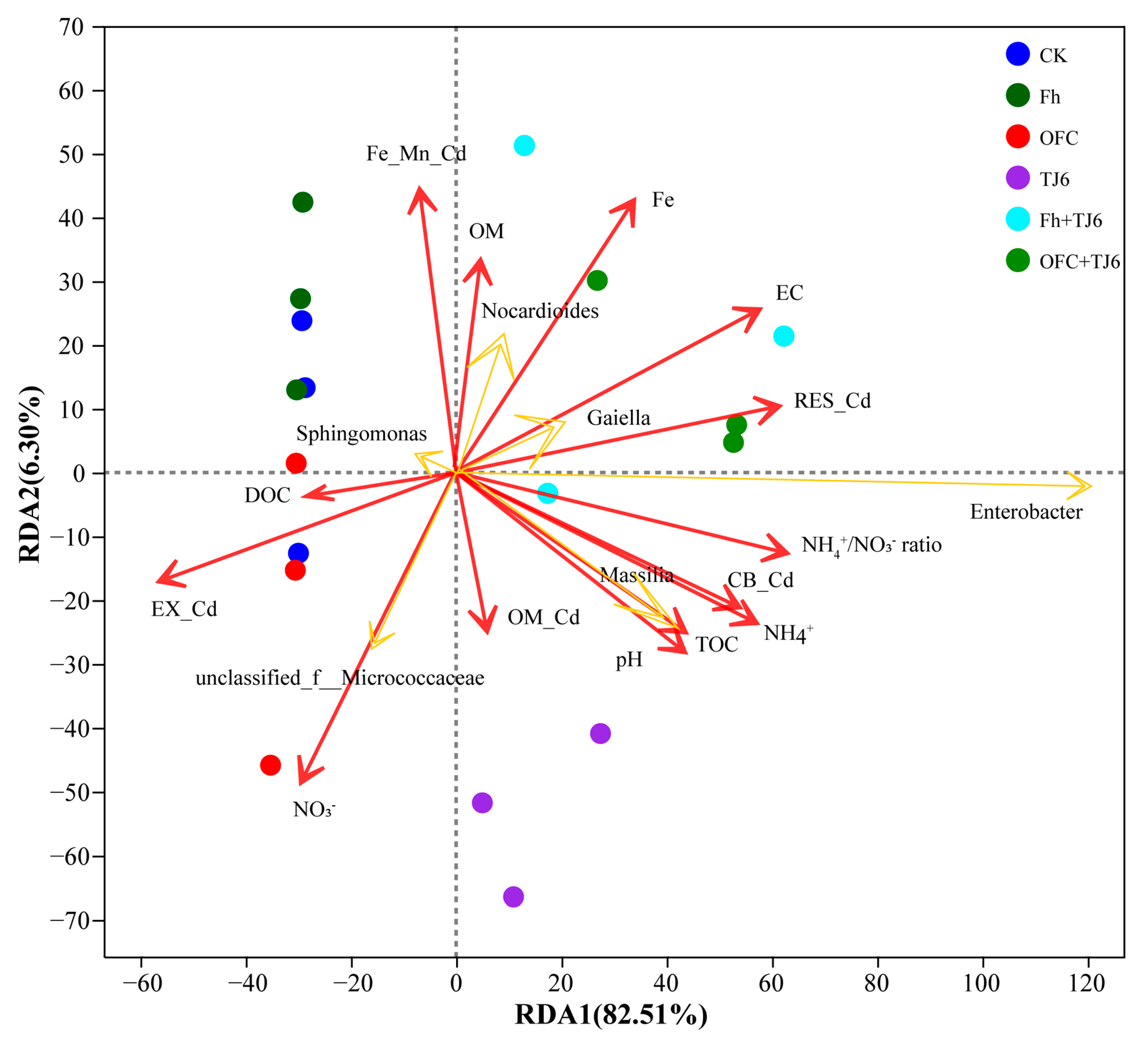 Microorganisms 13 01412 g009
