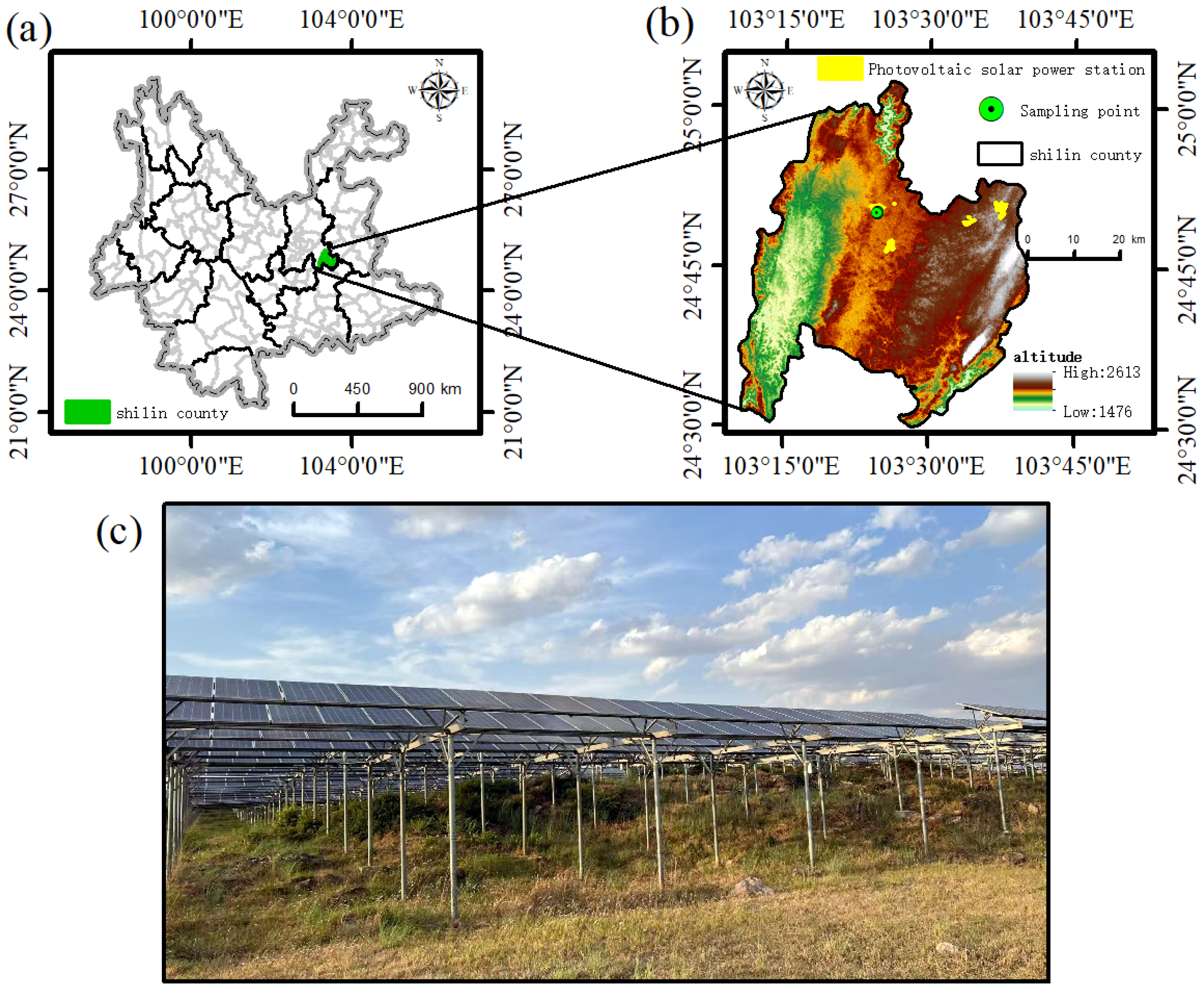Microorganisms 13 01414 g001