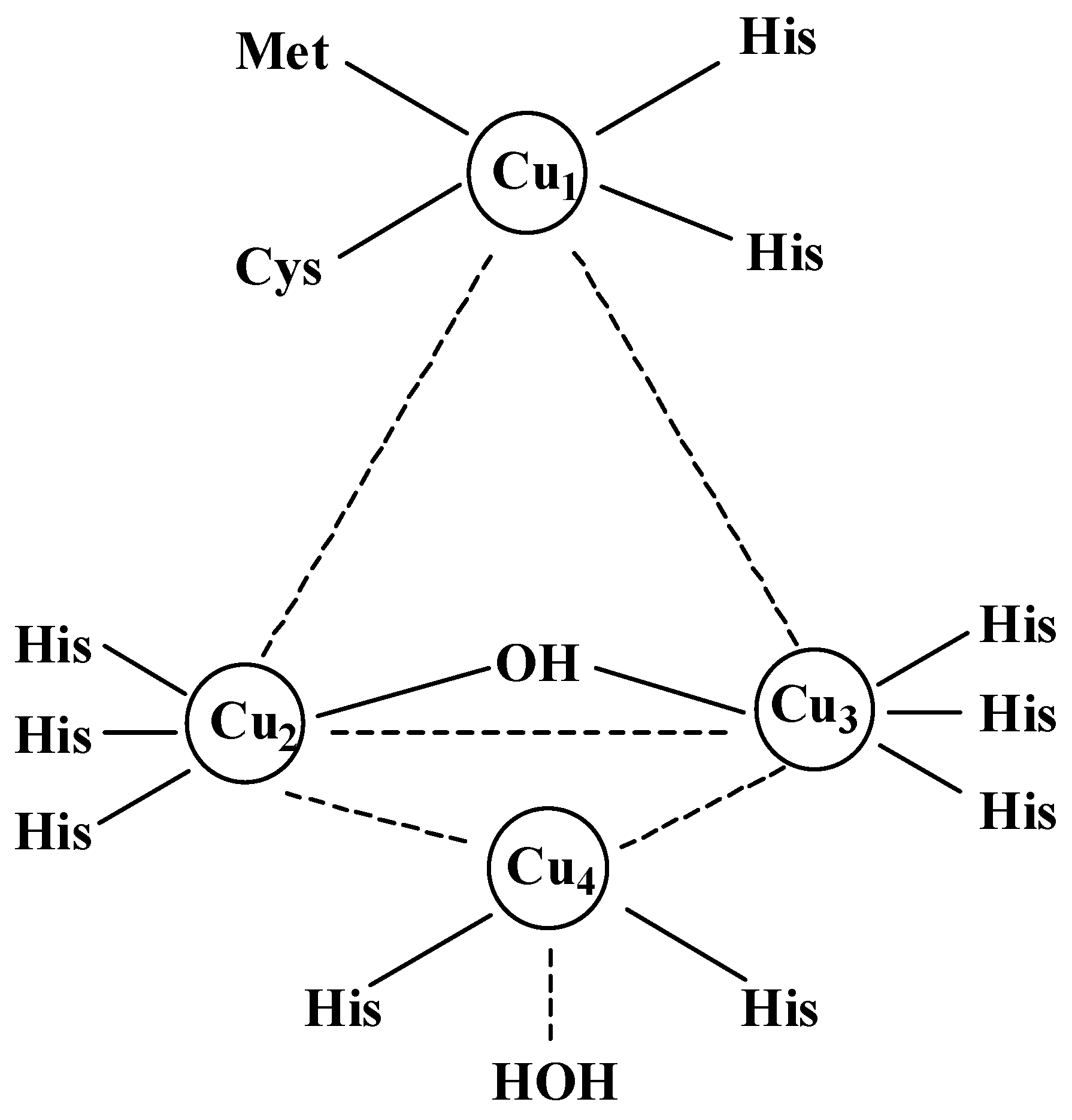 Microorganisms 13 01422 g002