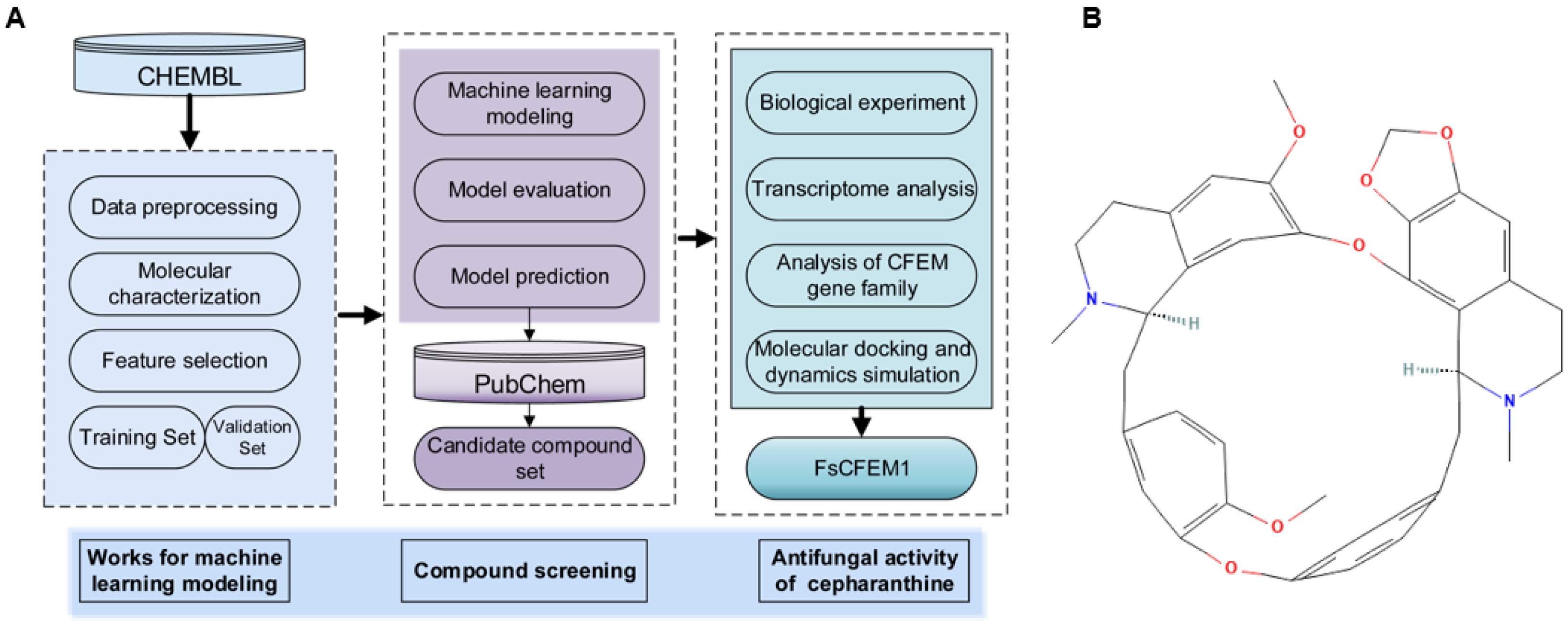 Microorganisms 13 01423 g002
