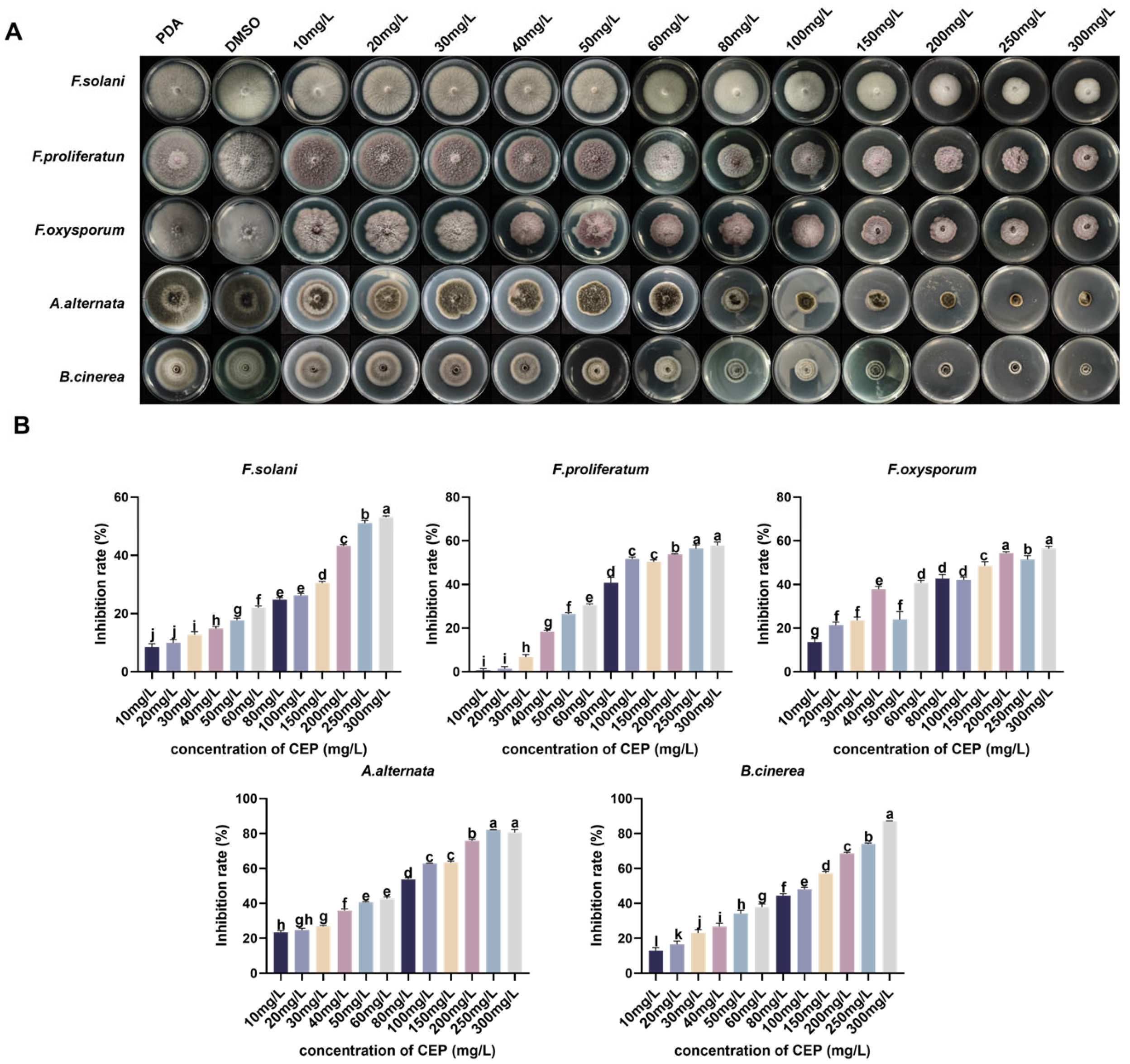 Microorganisms 13 01423 g003