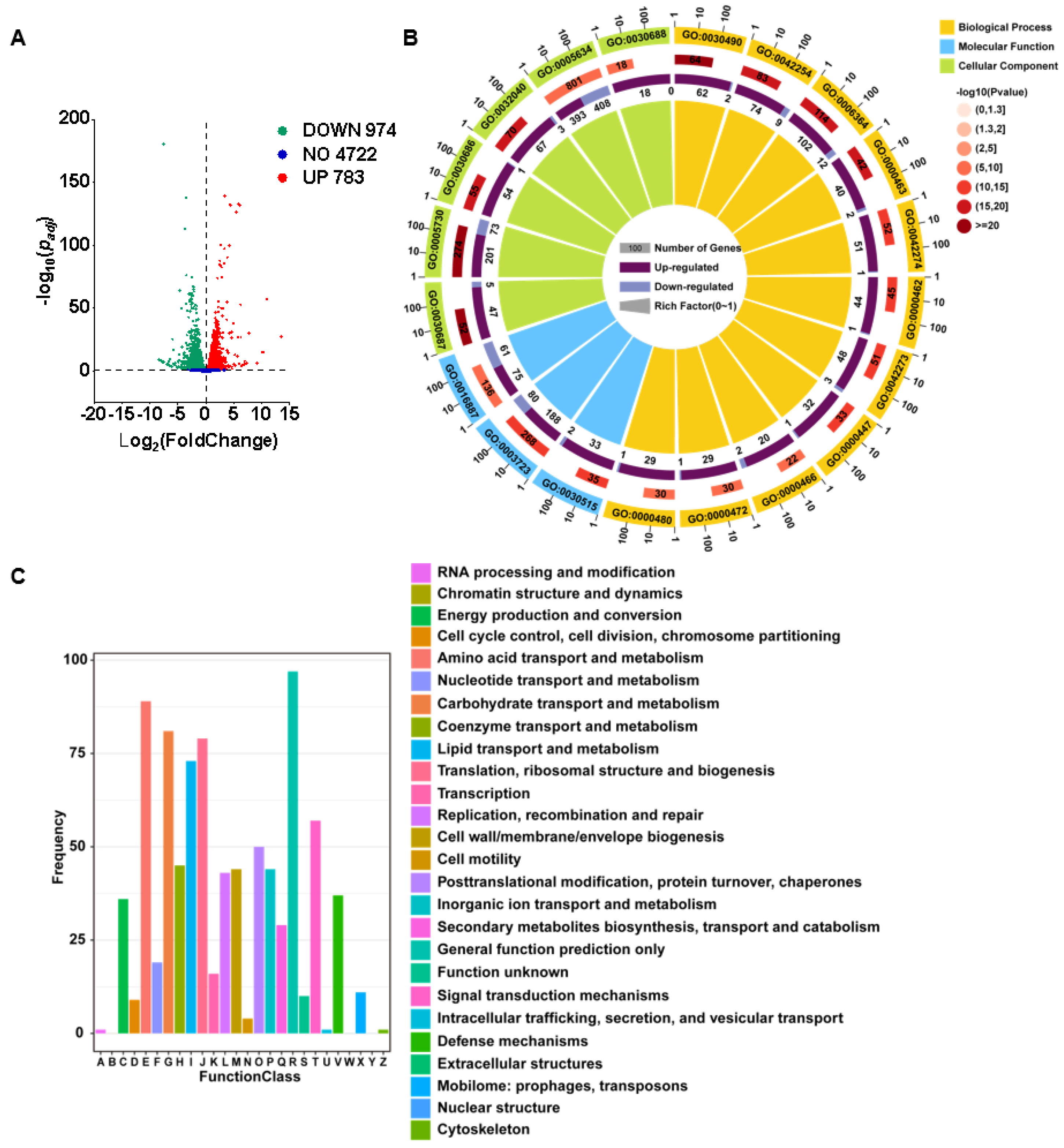 Microorganisms 13 01423 g005
