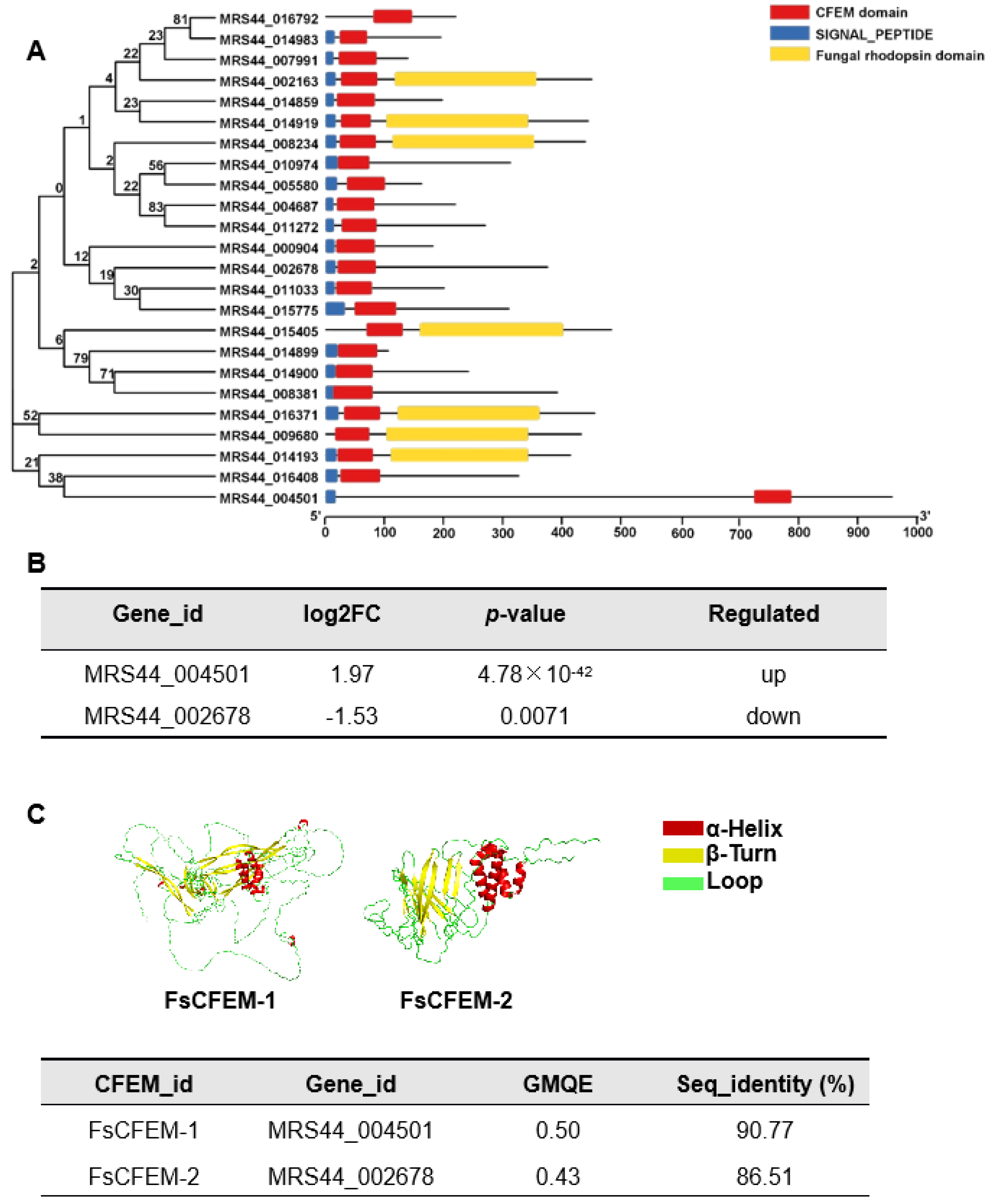 Microorganisms 13 01423 g007