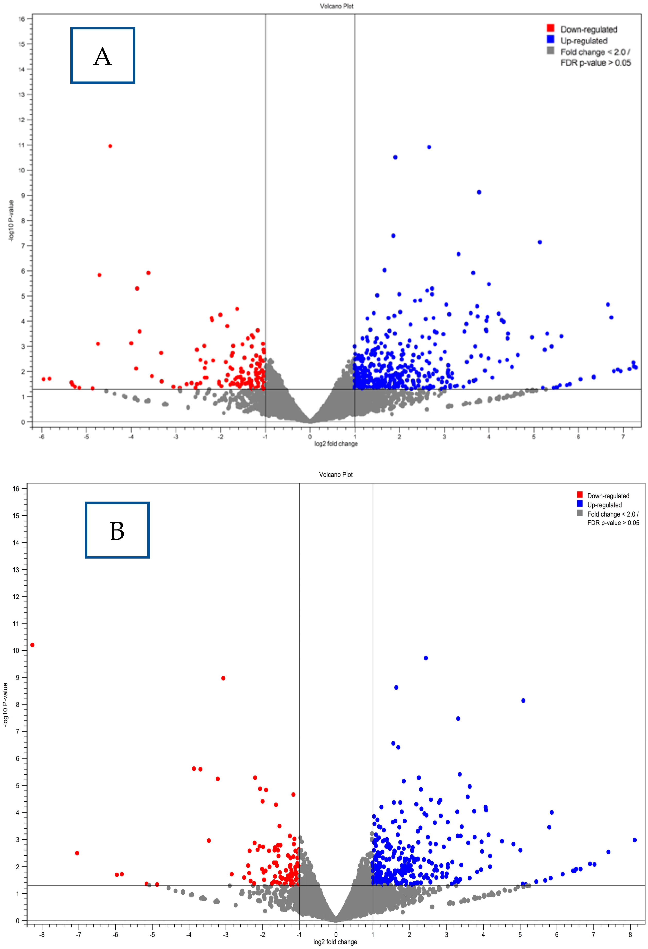 Microorganisms 13 01428 g007