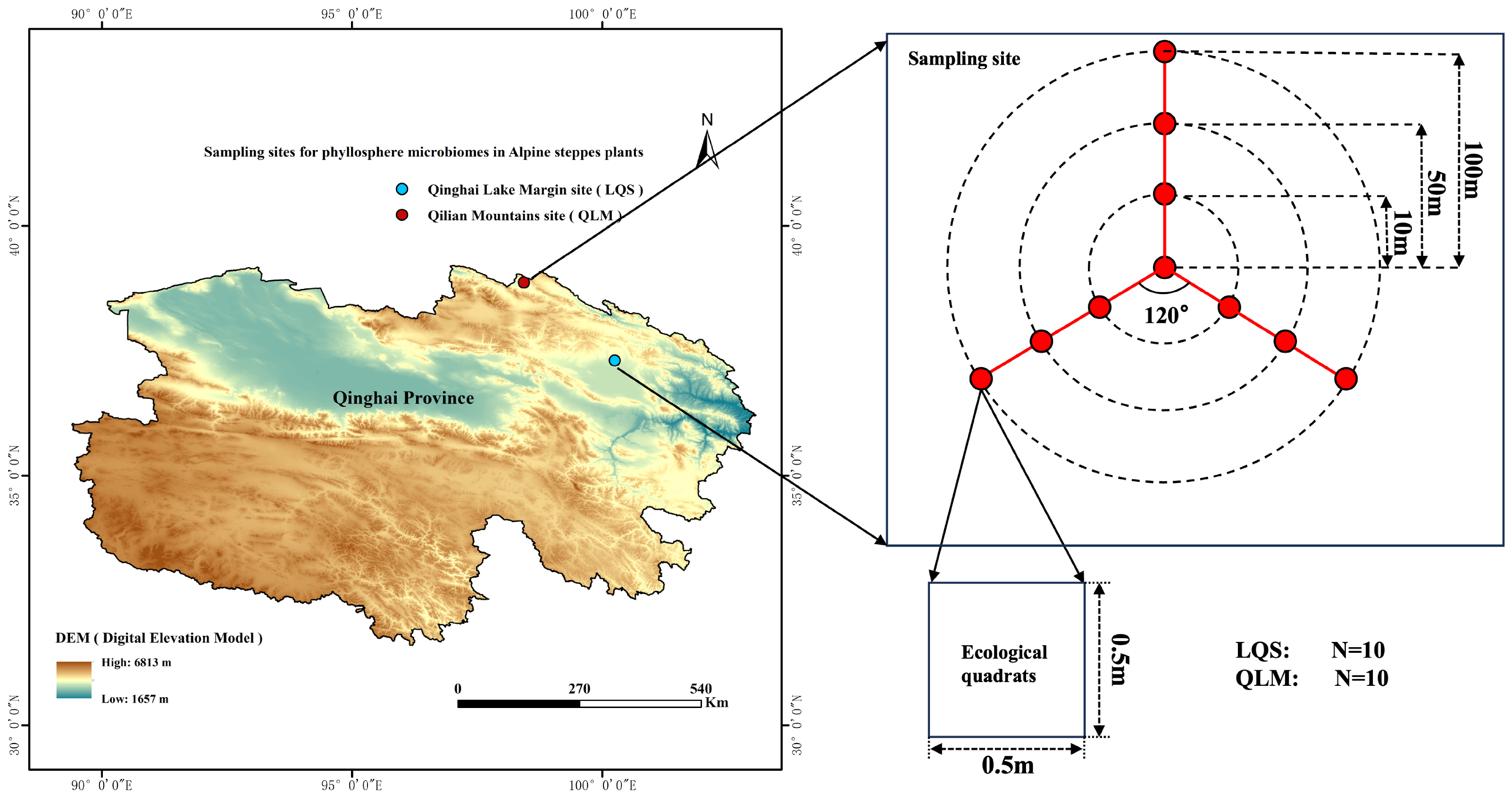 Microorganisms 13 01432 g001