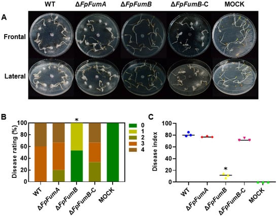 Microorganisms 13 01433 g003