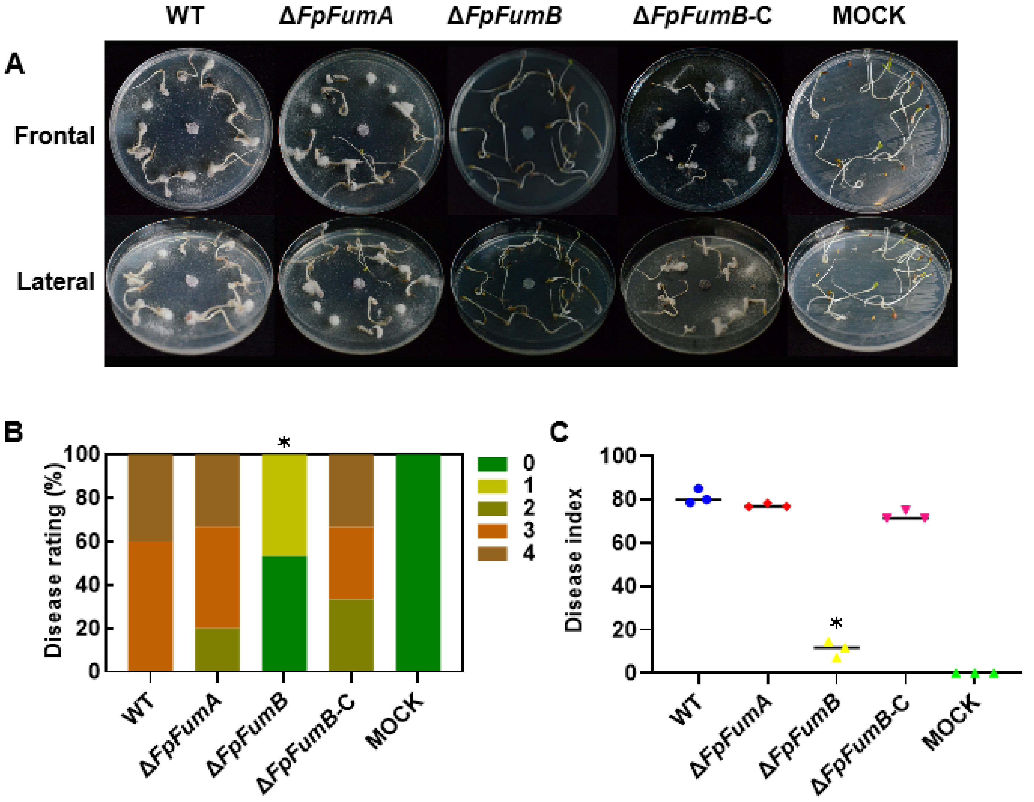 Microorganisms 13 01433 g003