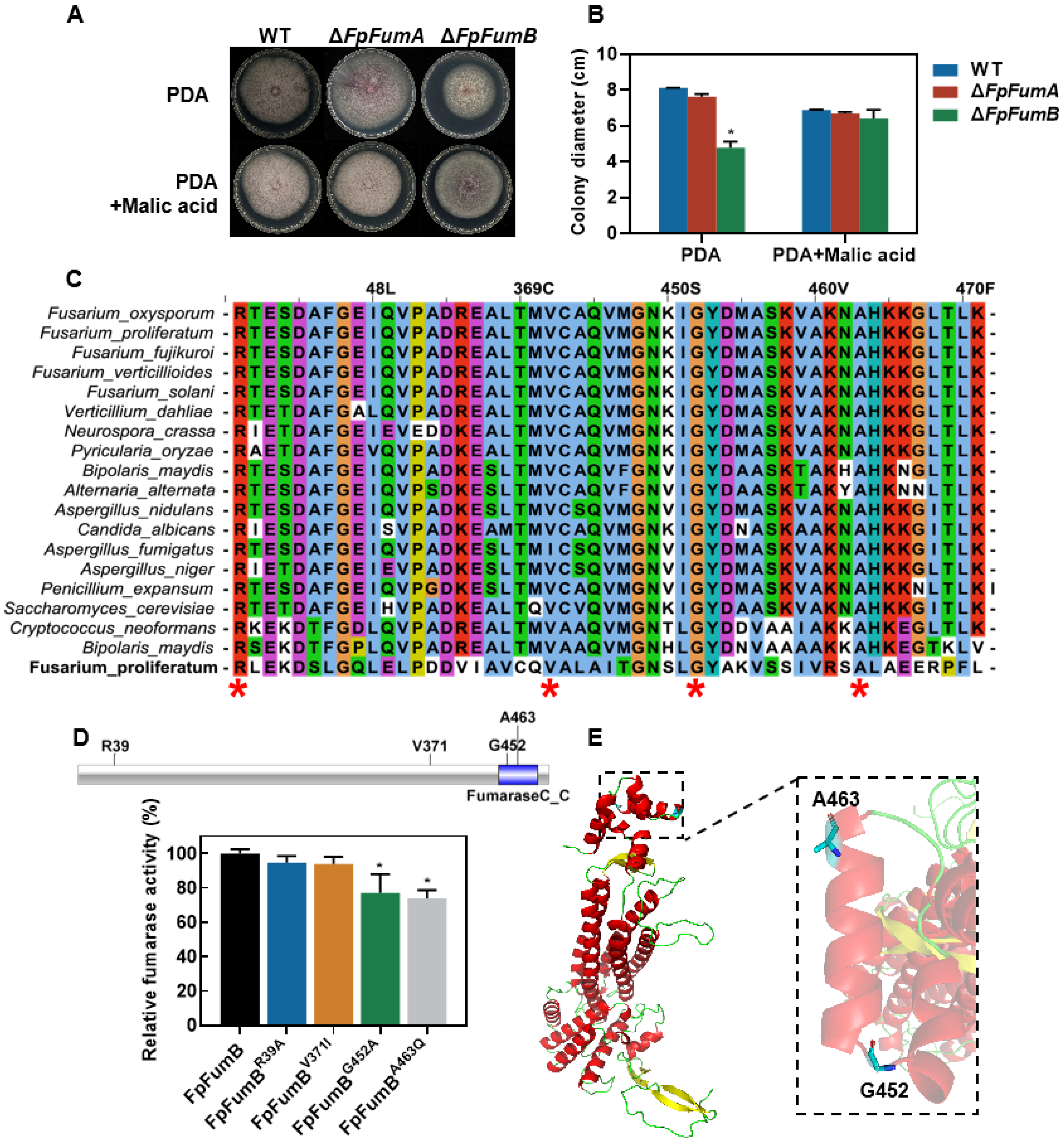 Microorganisms 13 01433 g005