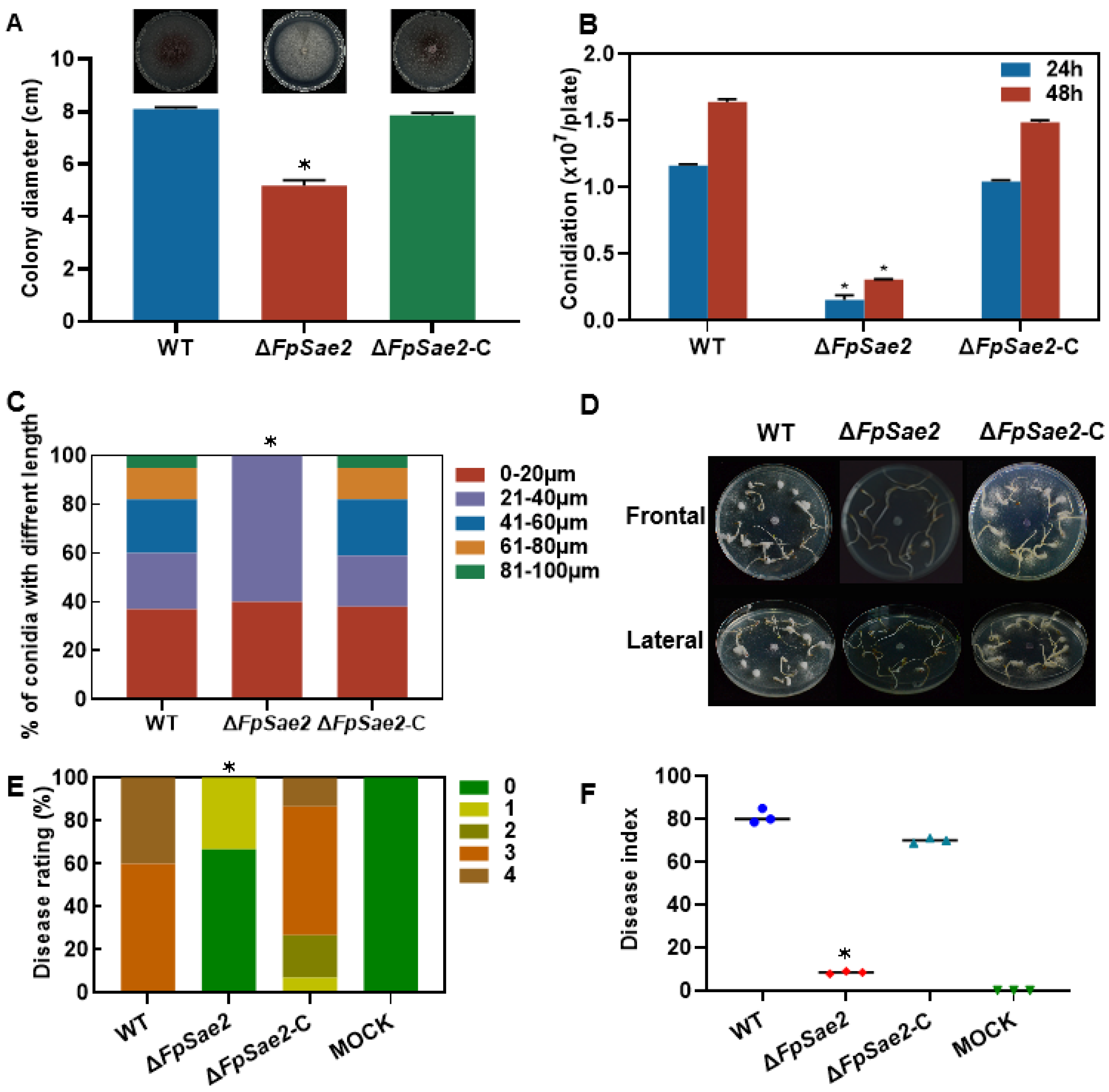 Microorganisms 13 01433 g008