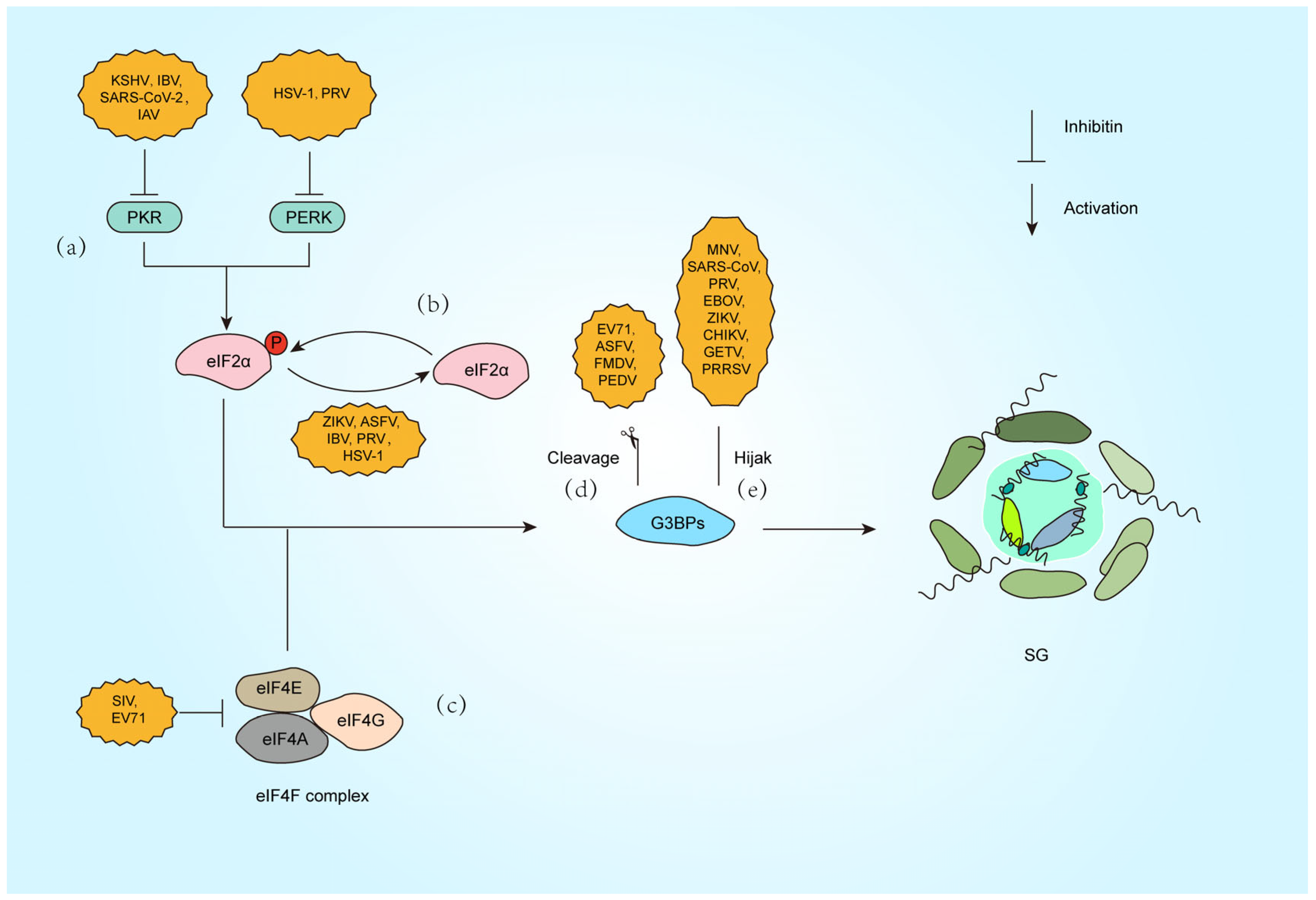 Microorganisms 13 01434 g002