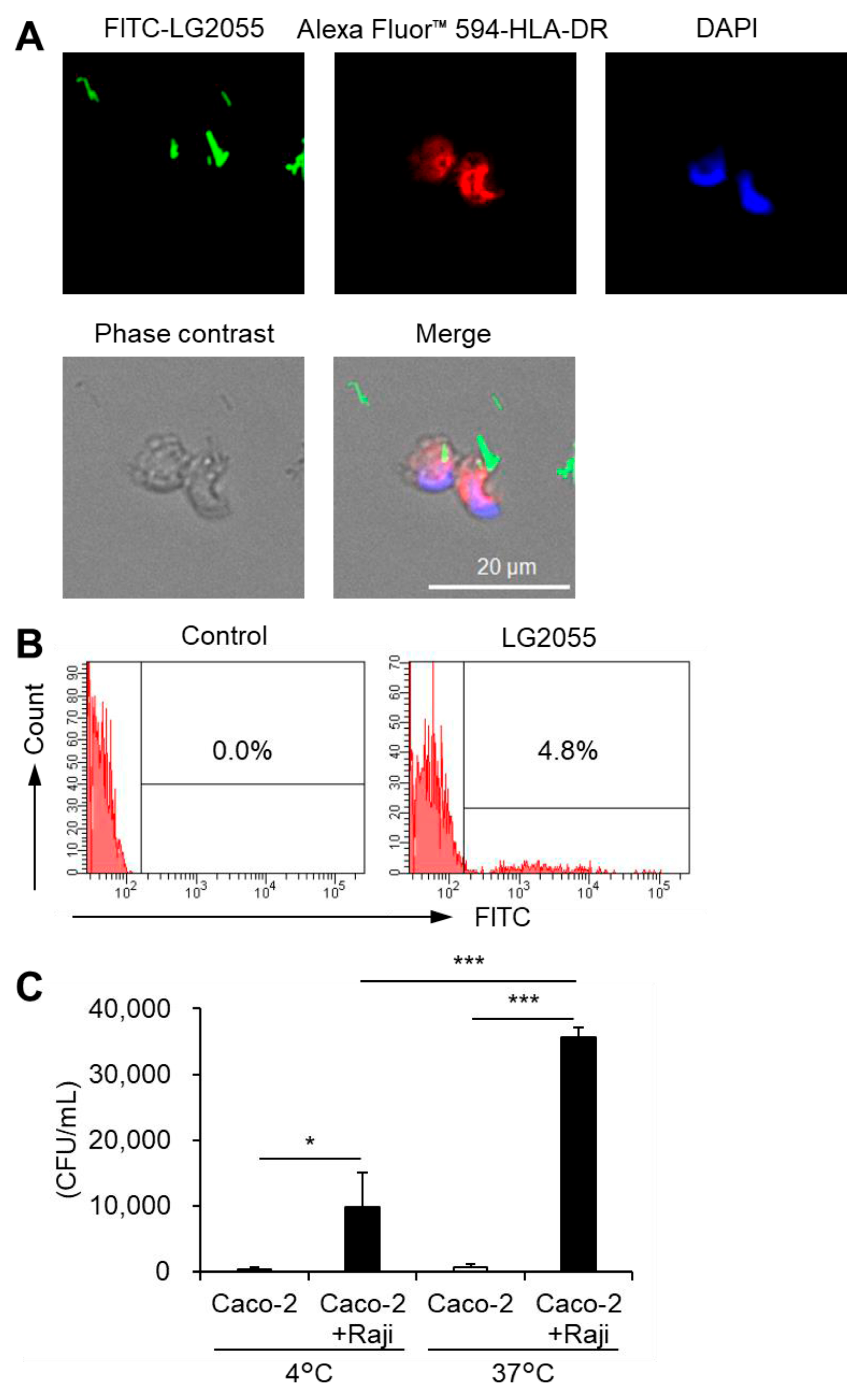 Microorganisms 13 01440 g003