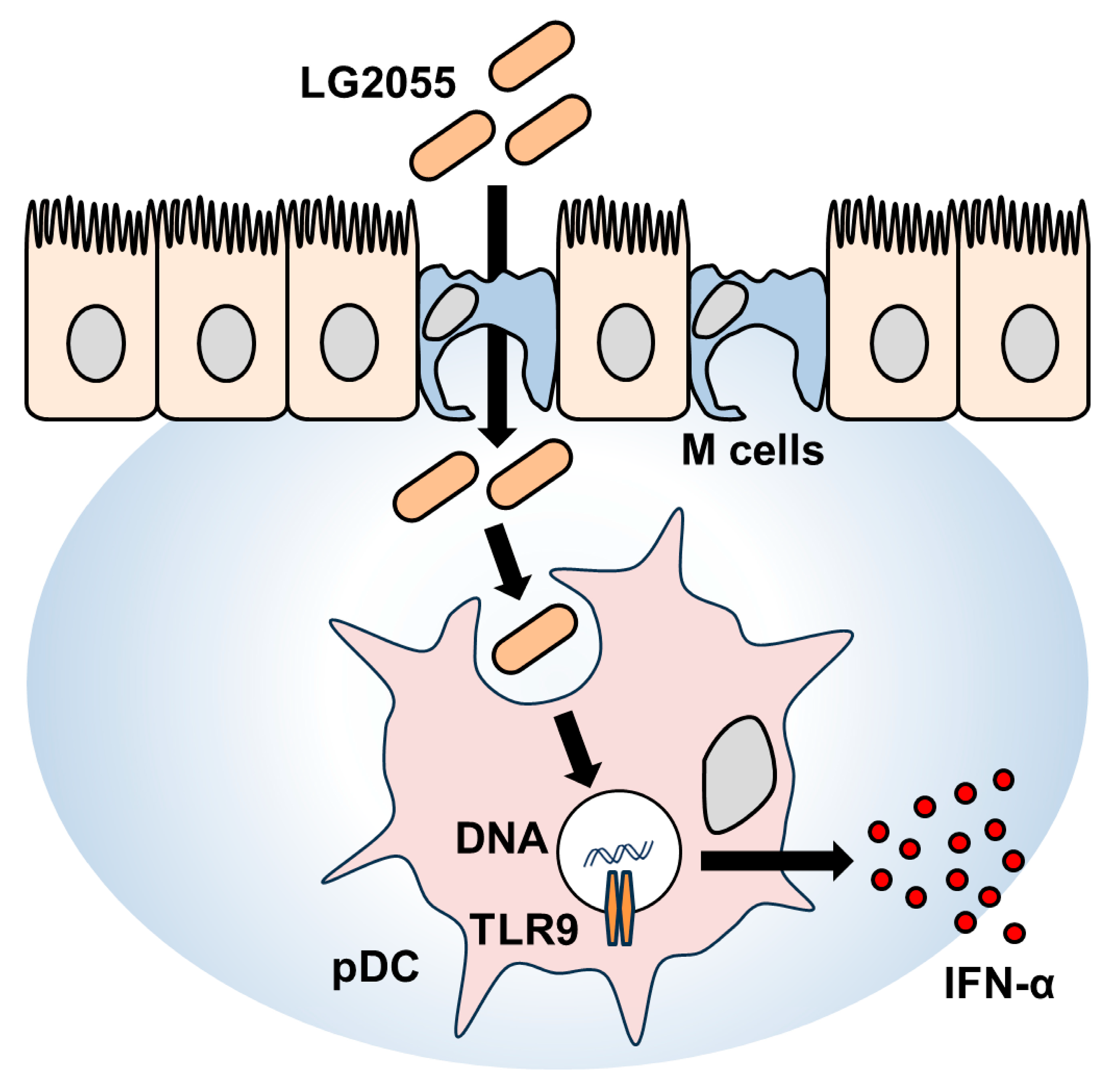 Microorganisms 13 01440 g005