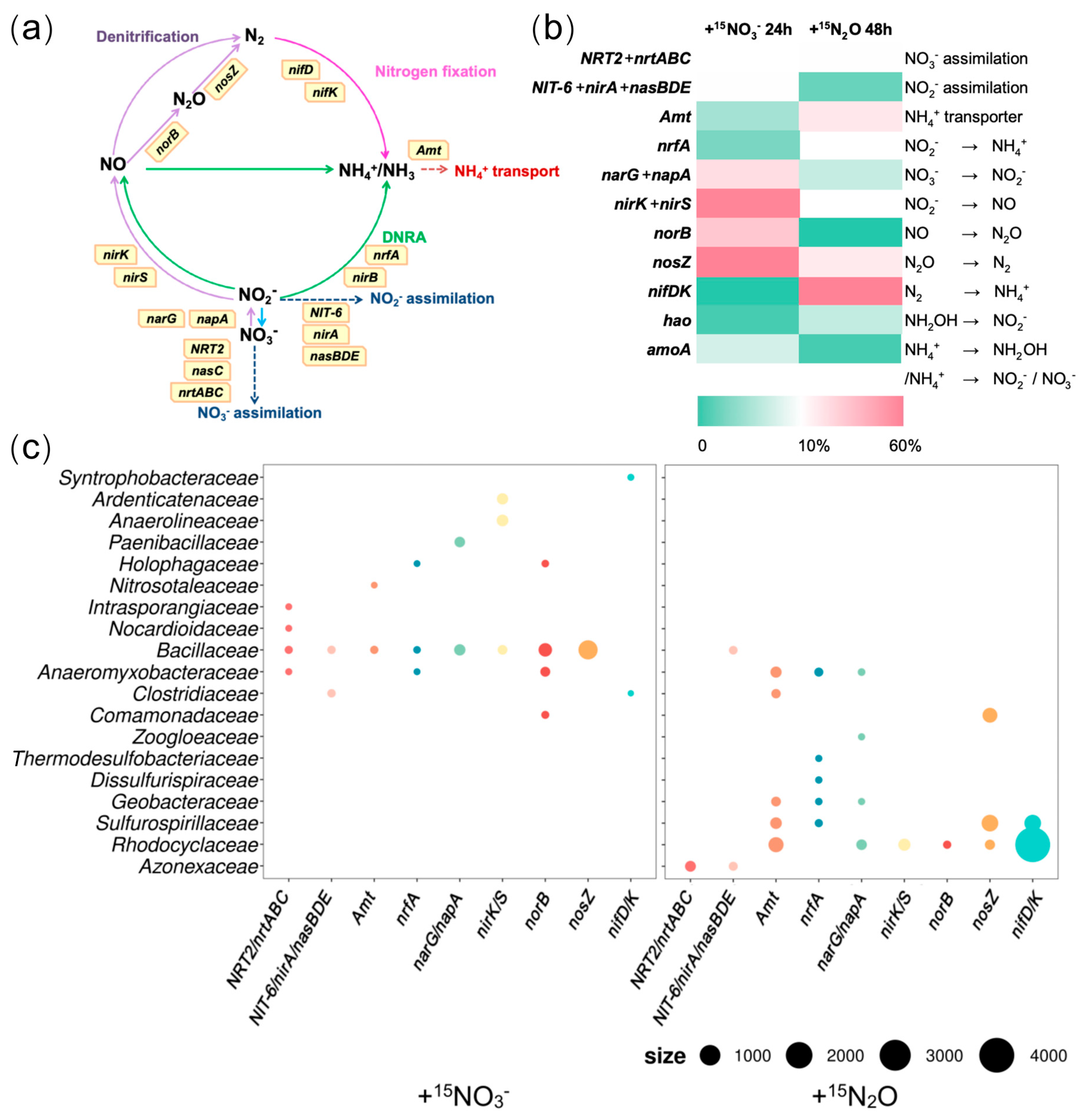 Microorganisms 13 01448 g004