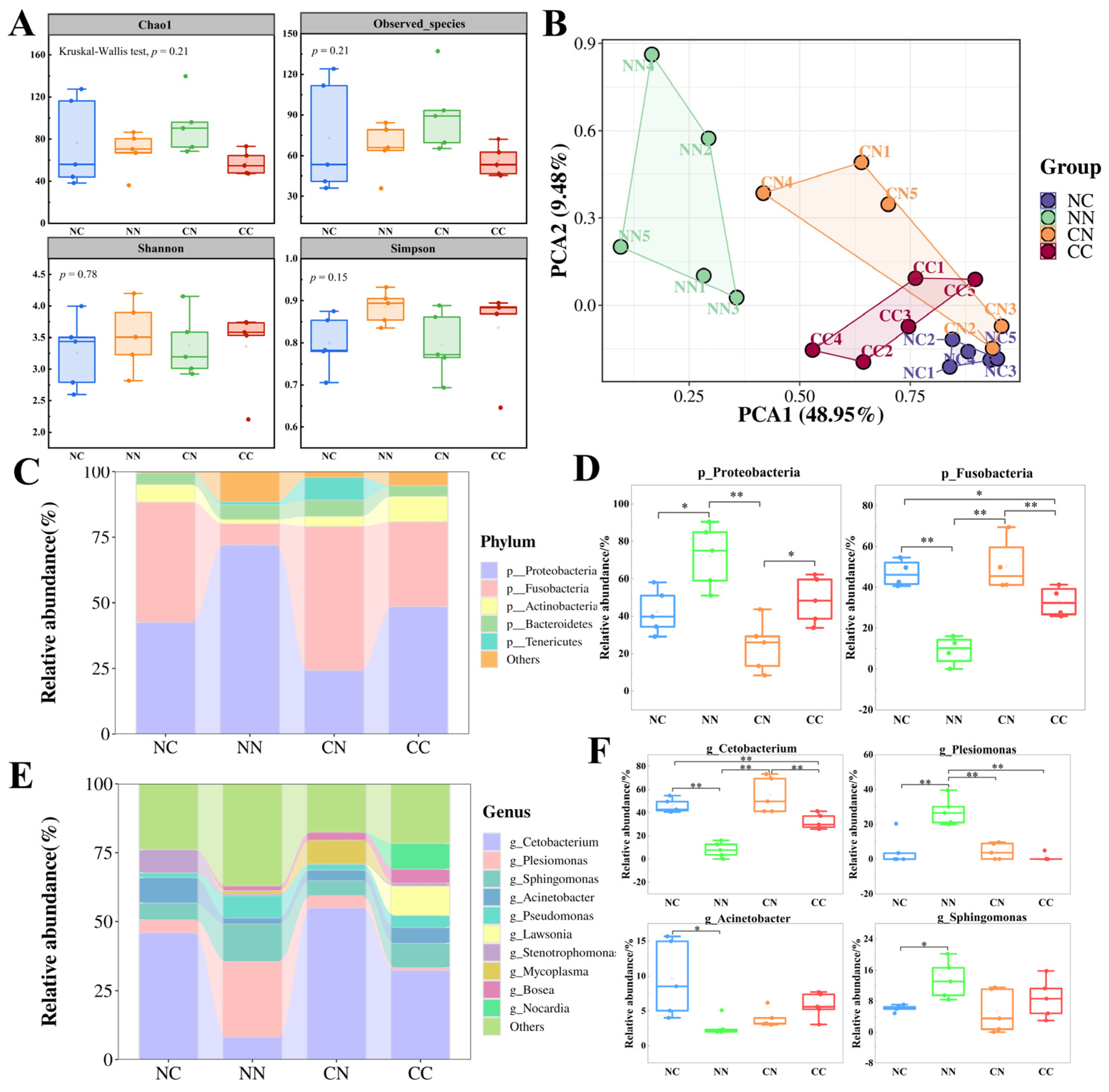 Microorganisms 13 01449 g002