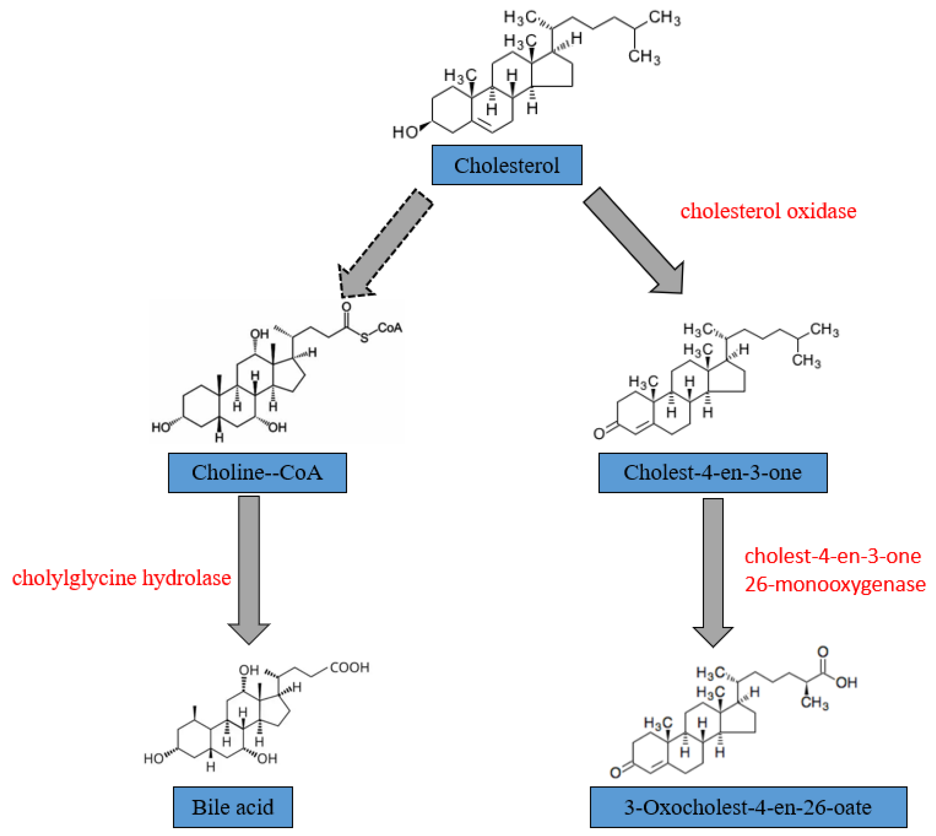 Microorganisms 13 01451 g007