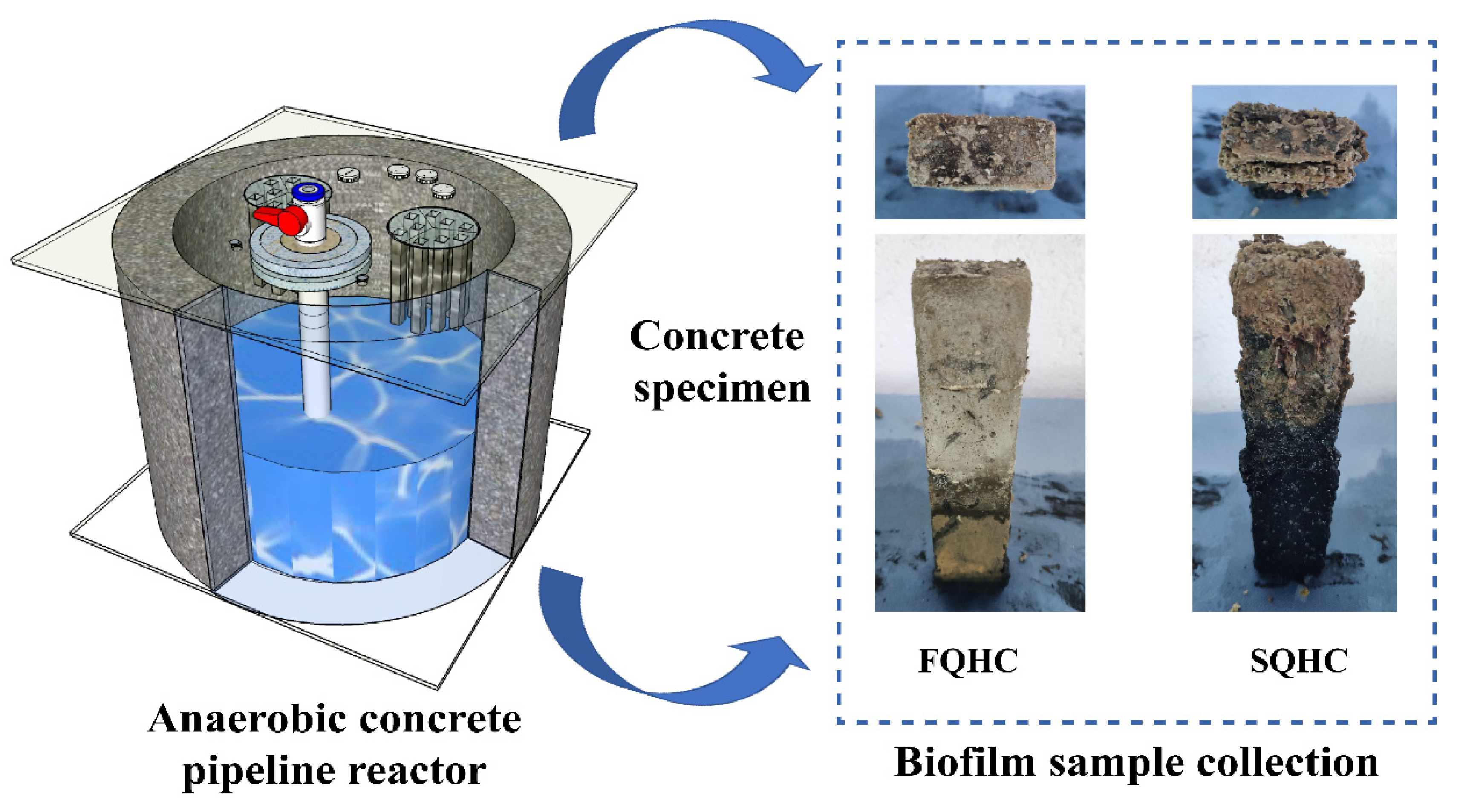Microorganisms 13 01452 g001