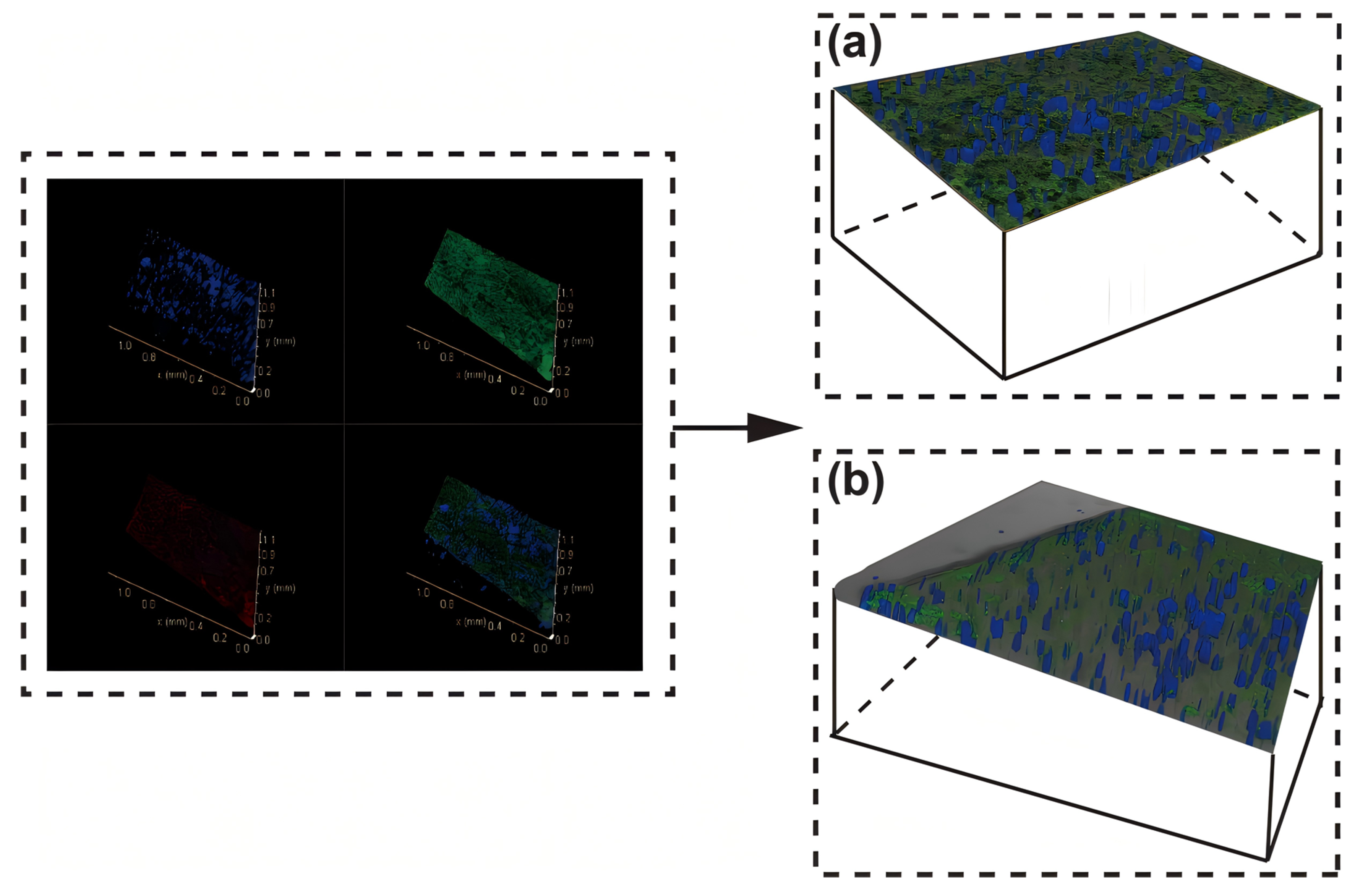 Microorganisms 13 01452 g005