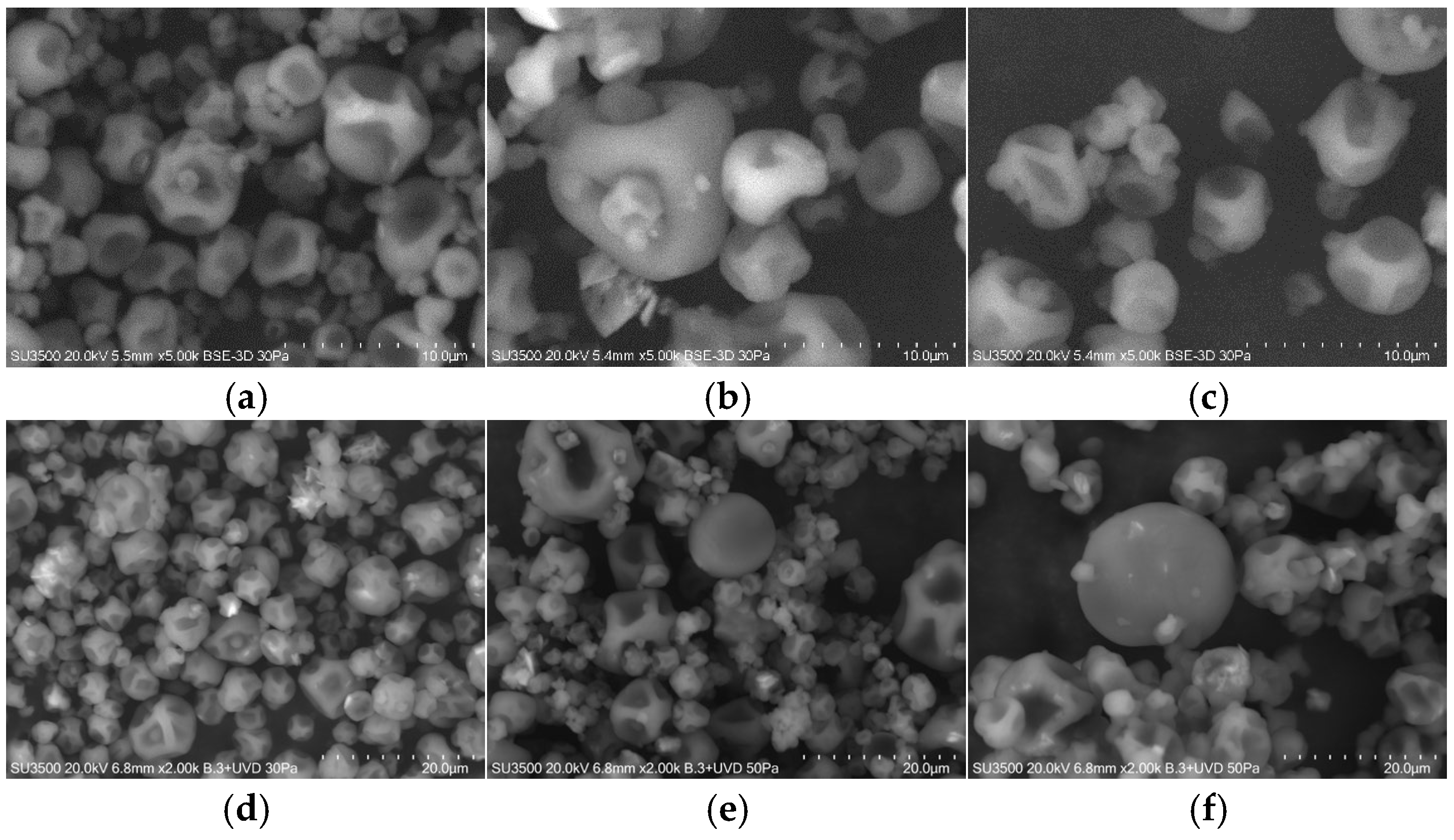 Microorganisms 13 01457 g007