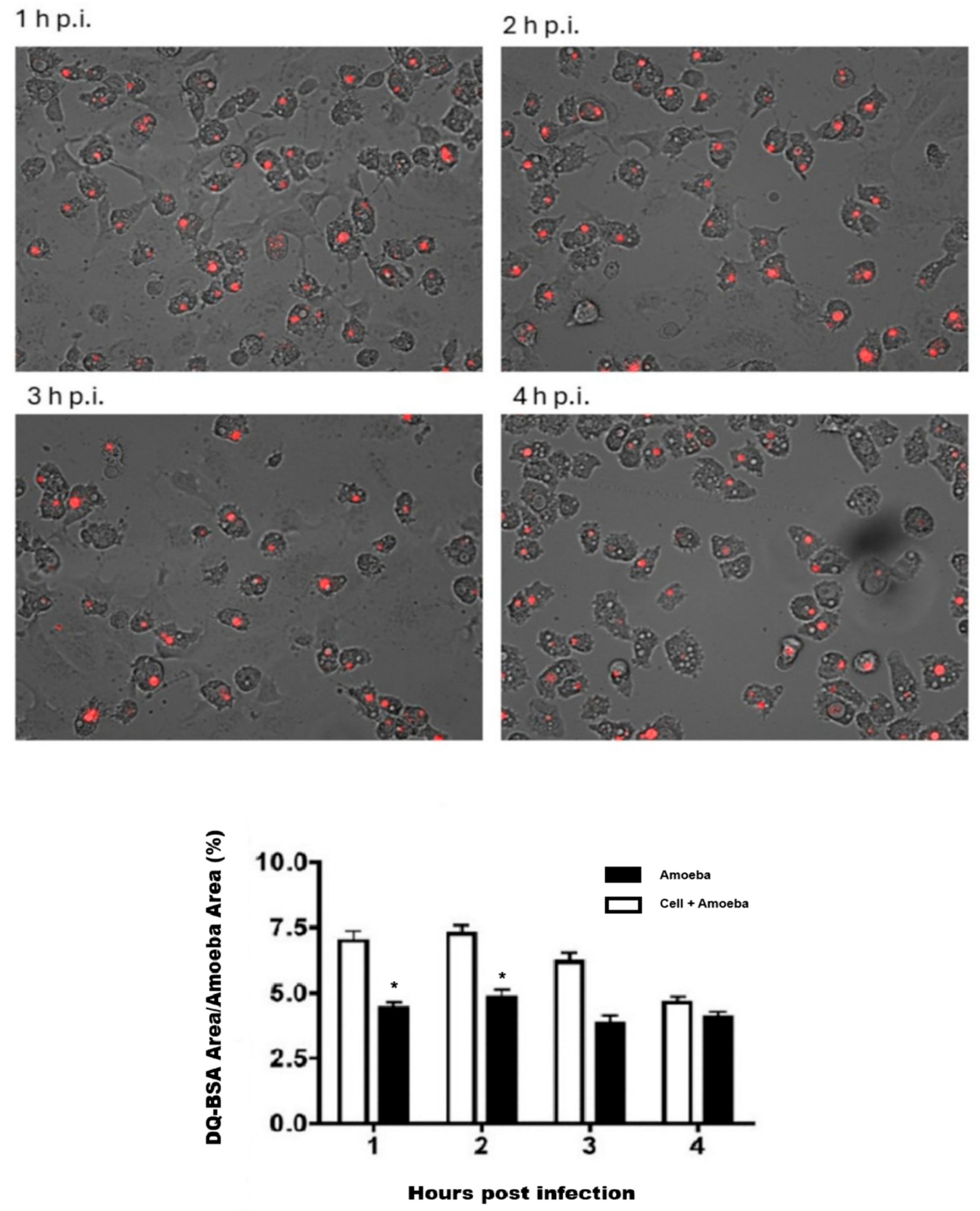 Microorganisms 13 01460 g006