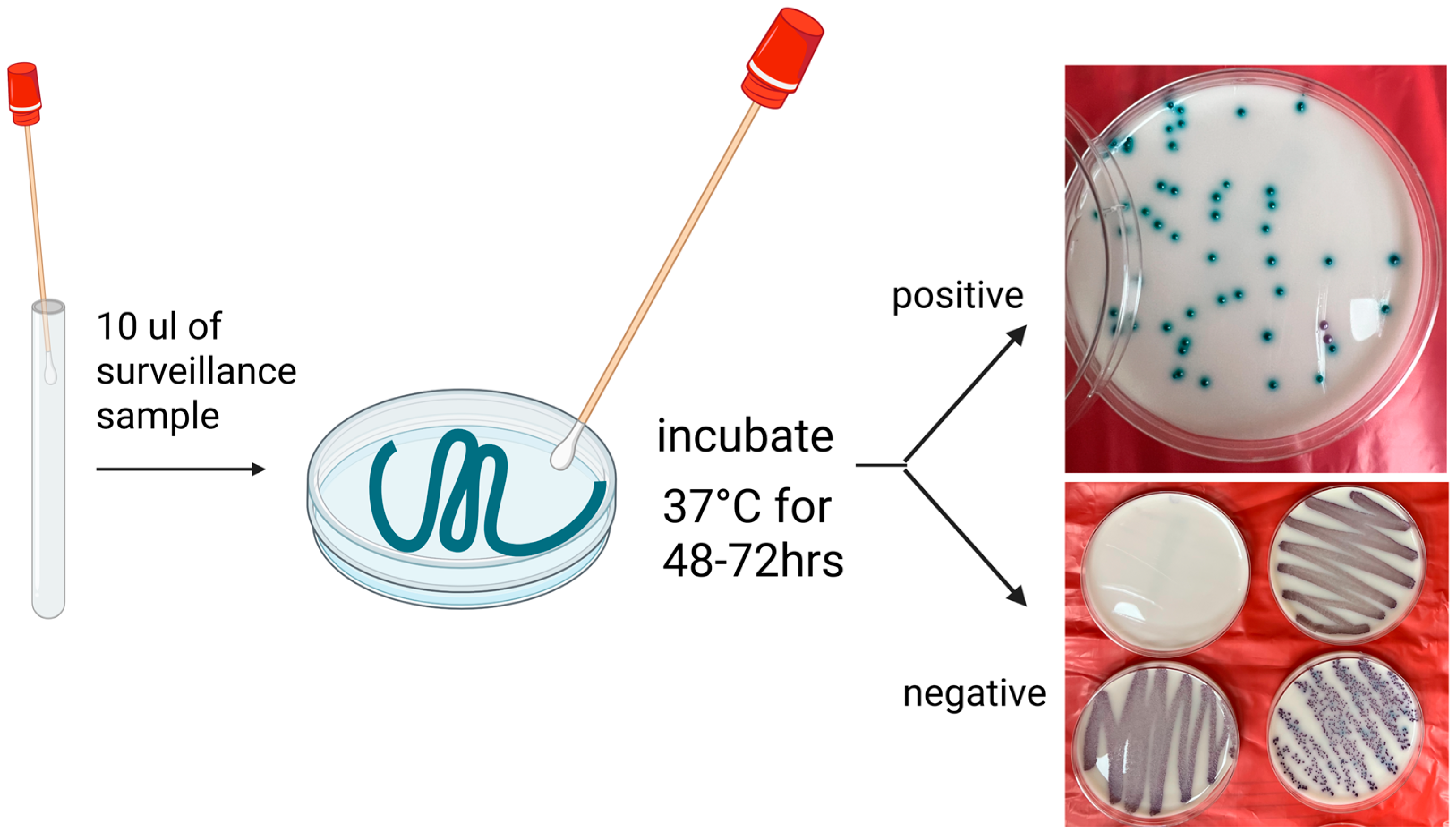 Microorganisms 13 01461 g003