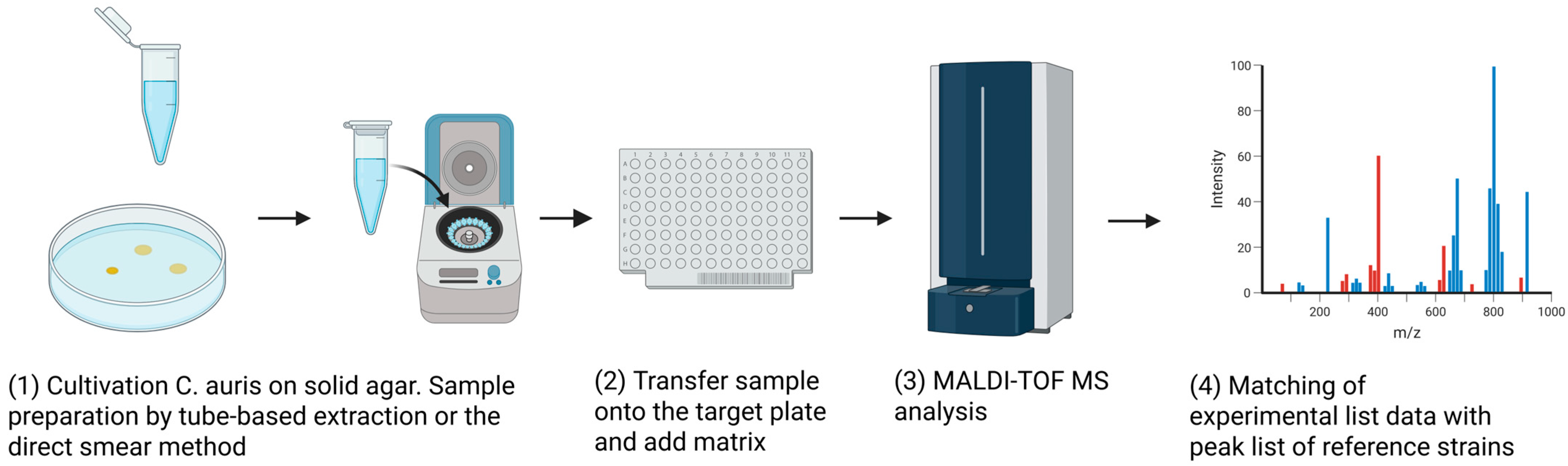 Microorganisms 13 01461 g004