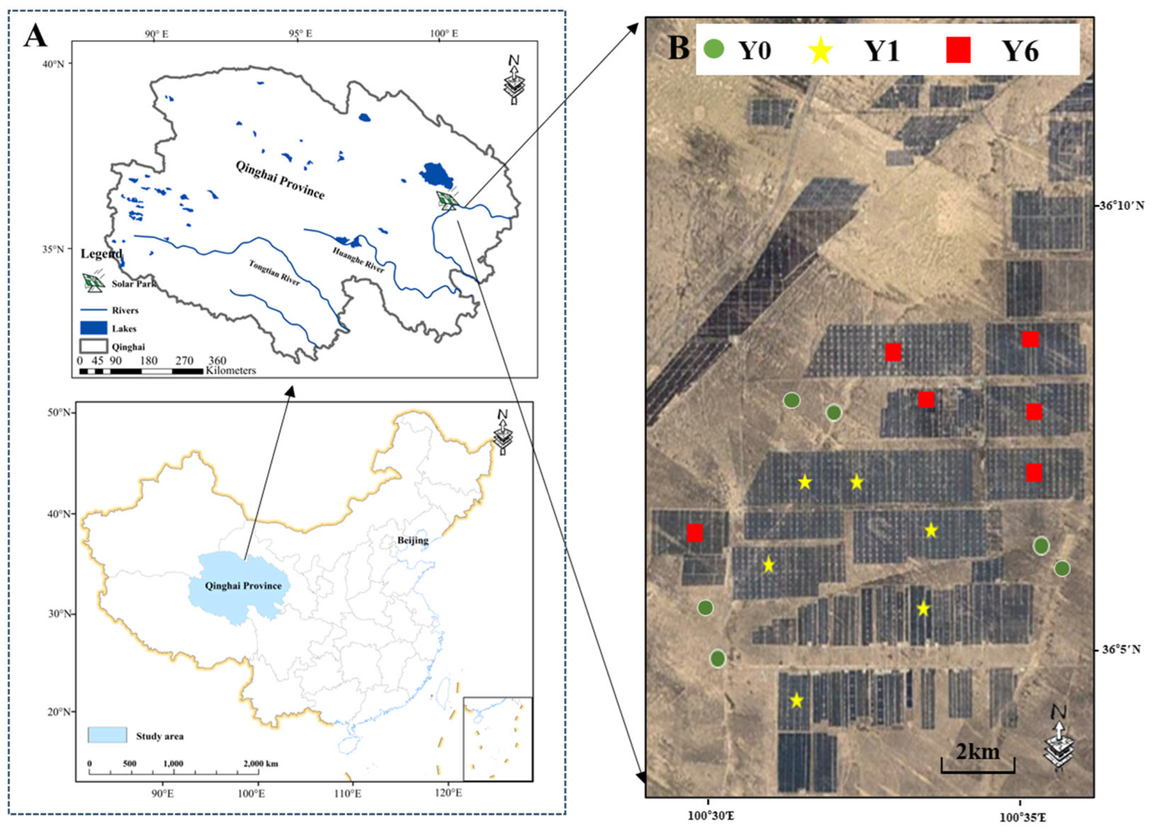 Microorganisms 13 01464 g001