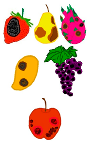 Microorganisms 13 01465 i001 Microorganisms 13 01465 i001